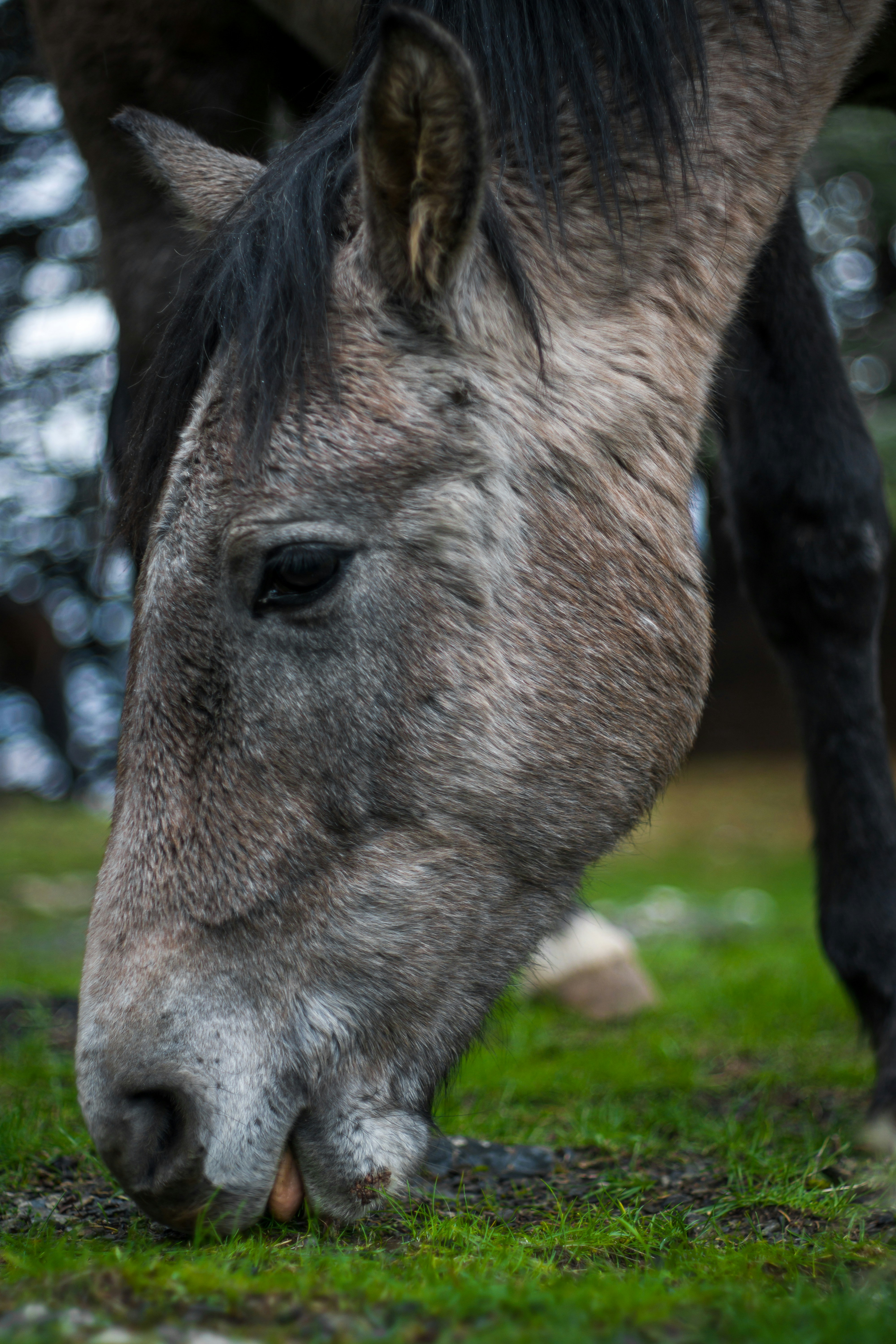 Photo by fethibenattallah