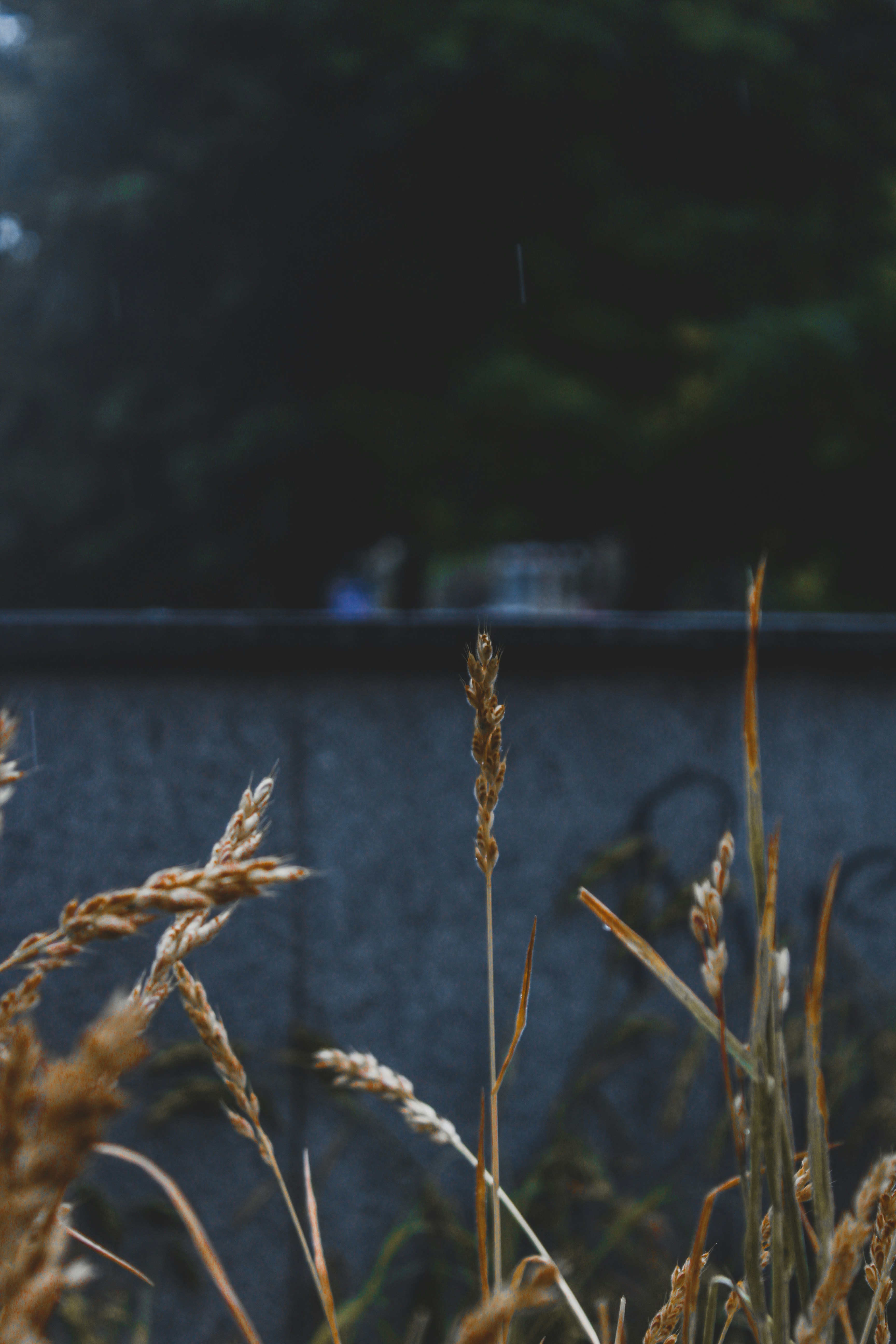 Photo by czapp_arpad