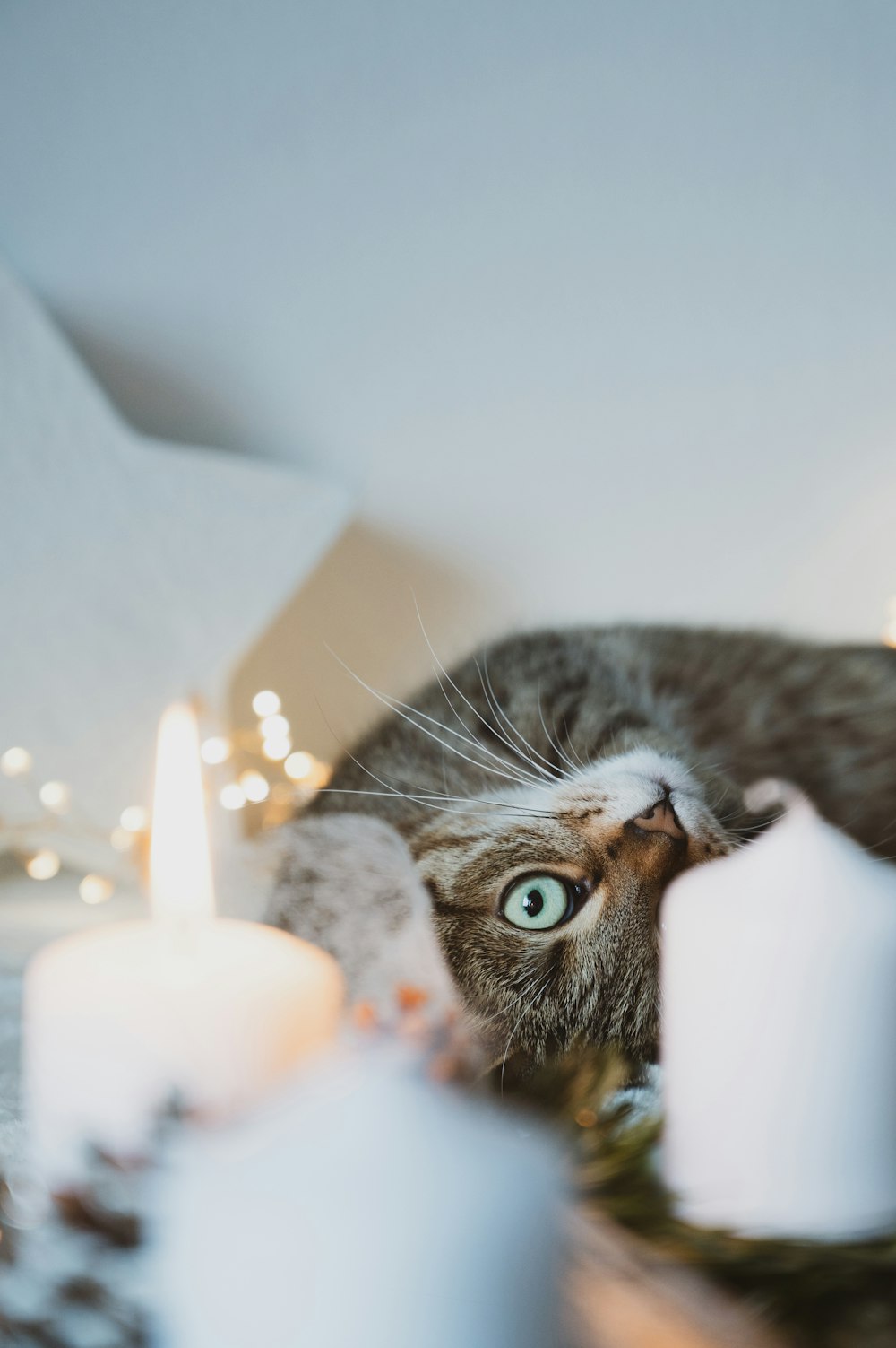 a cat laying on top of a table next to candles