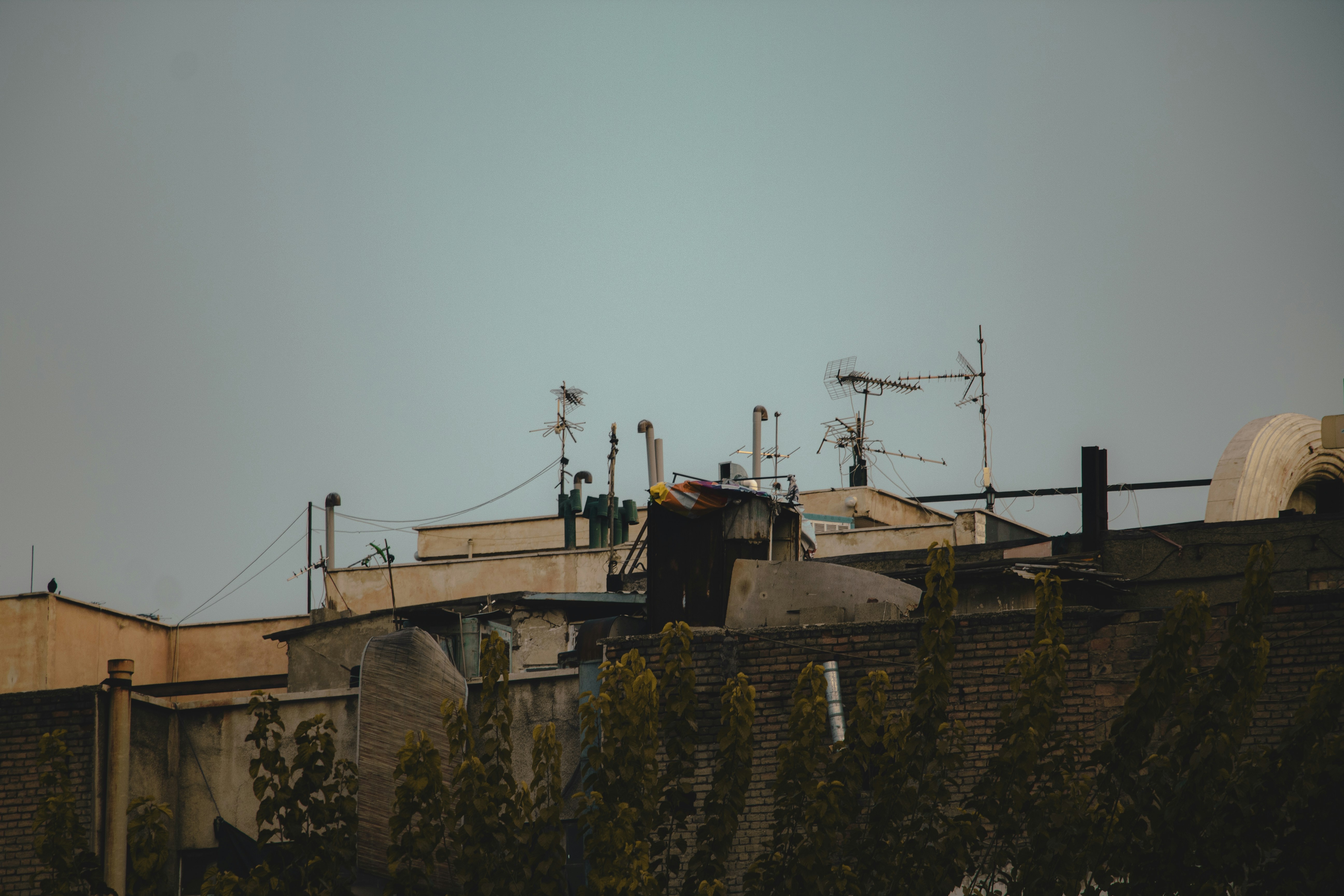 Photo by afshariam82