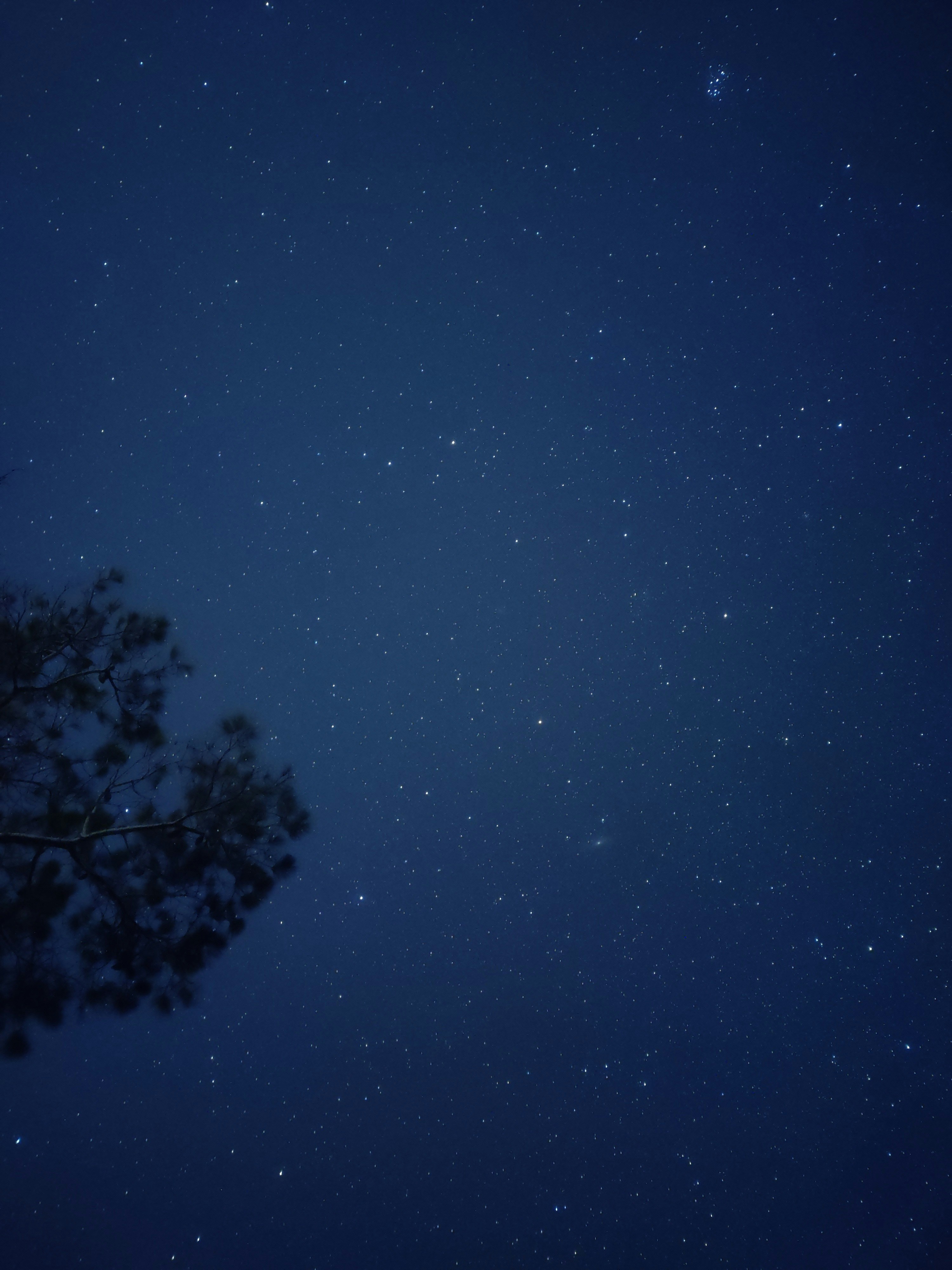 Photo by andrew_abela_