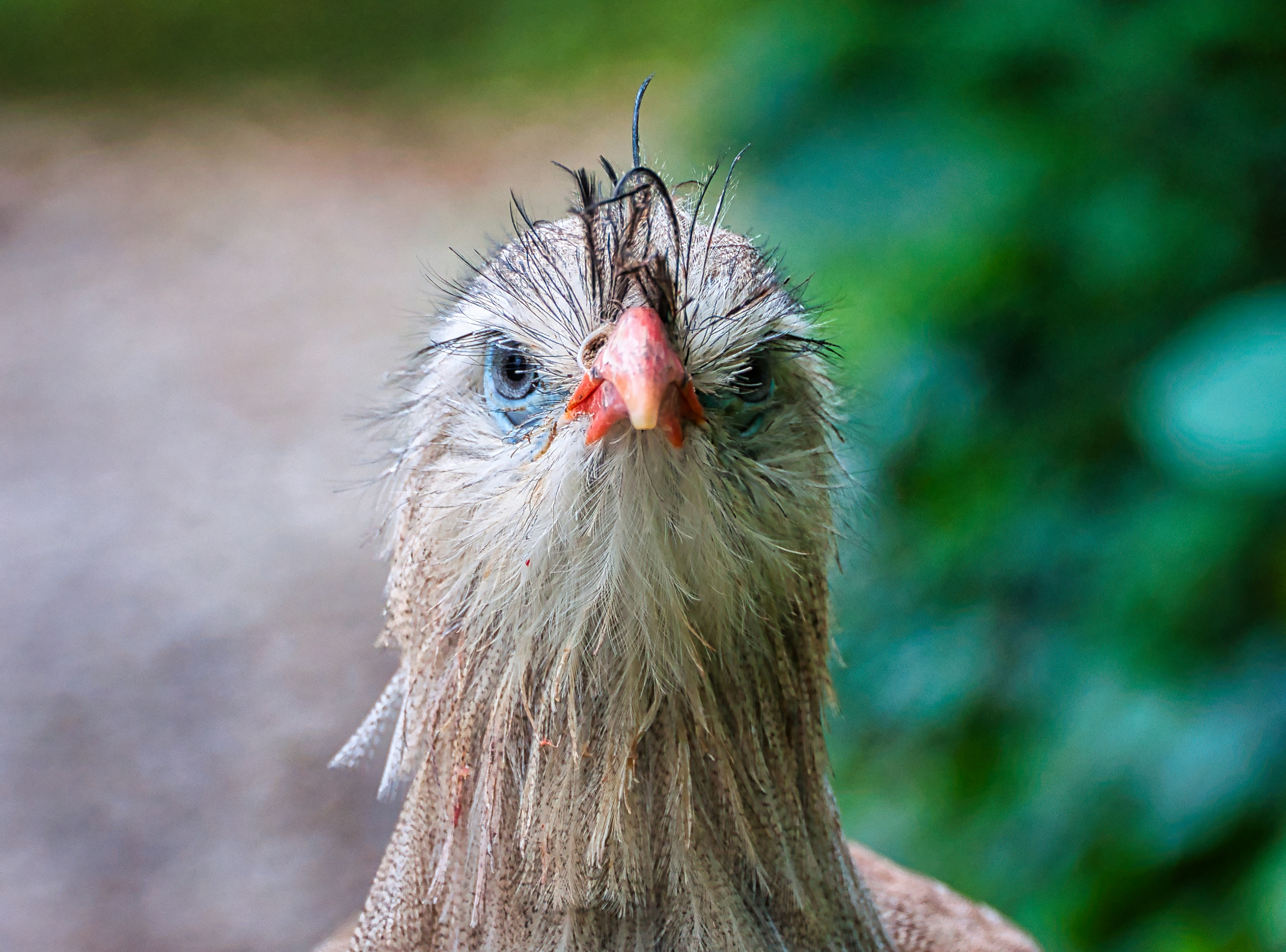 Photo by raimundschlager