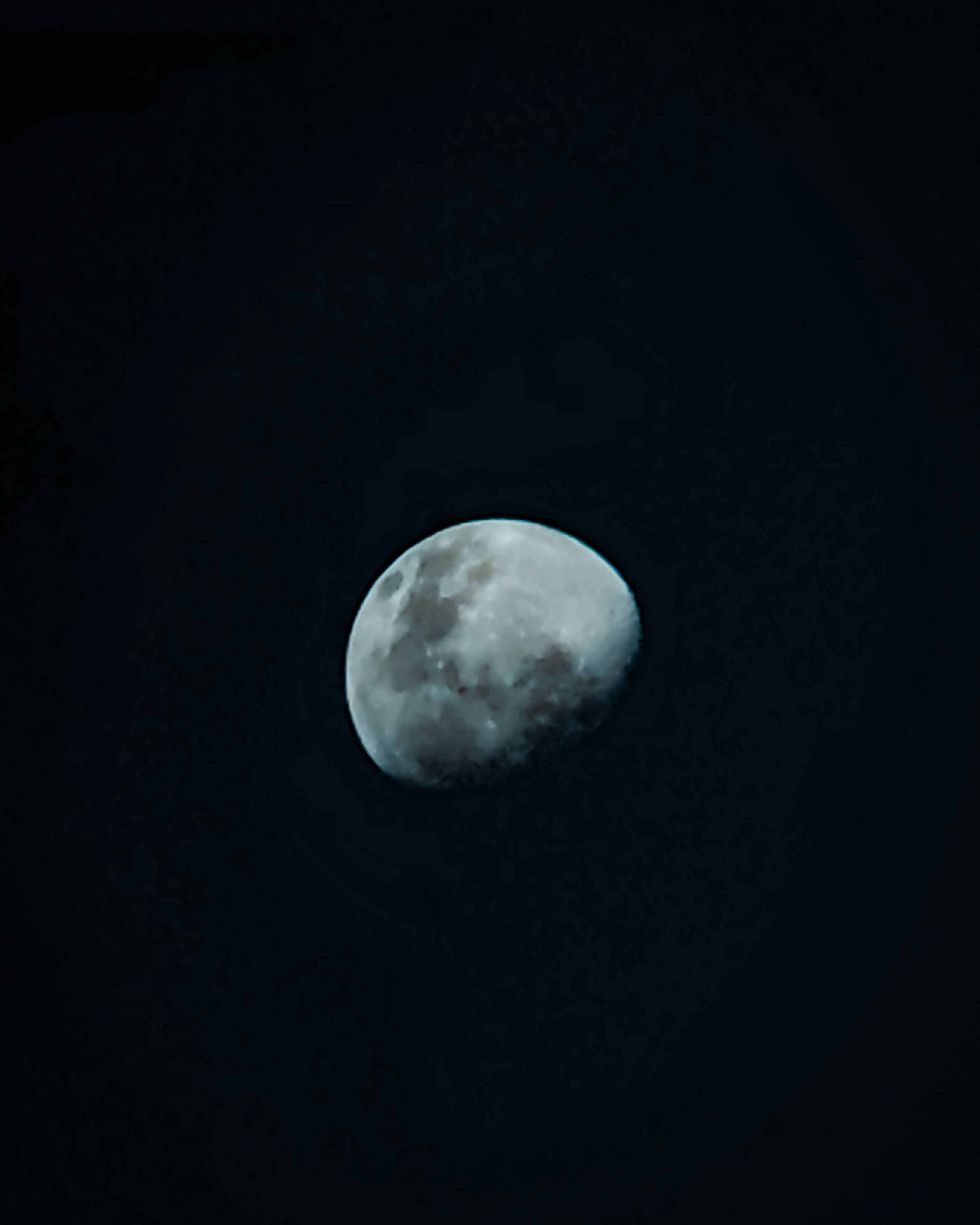 Photo by gurfx