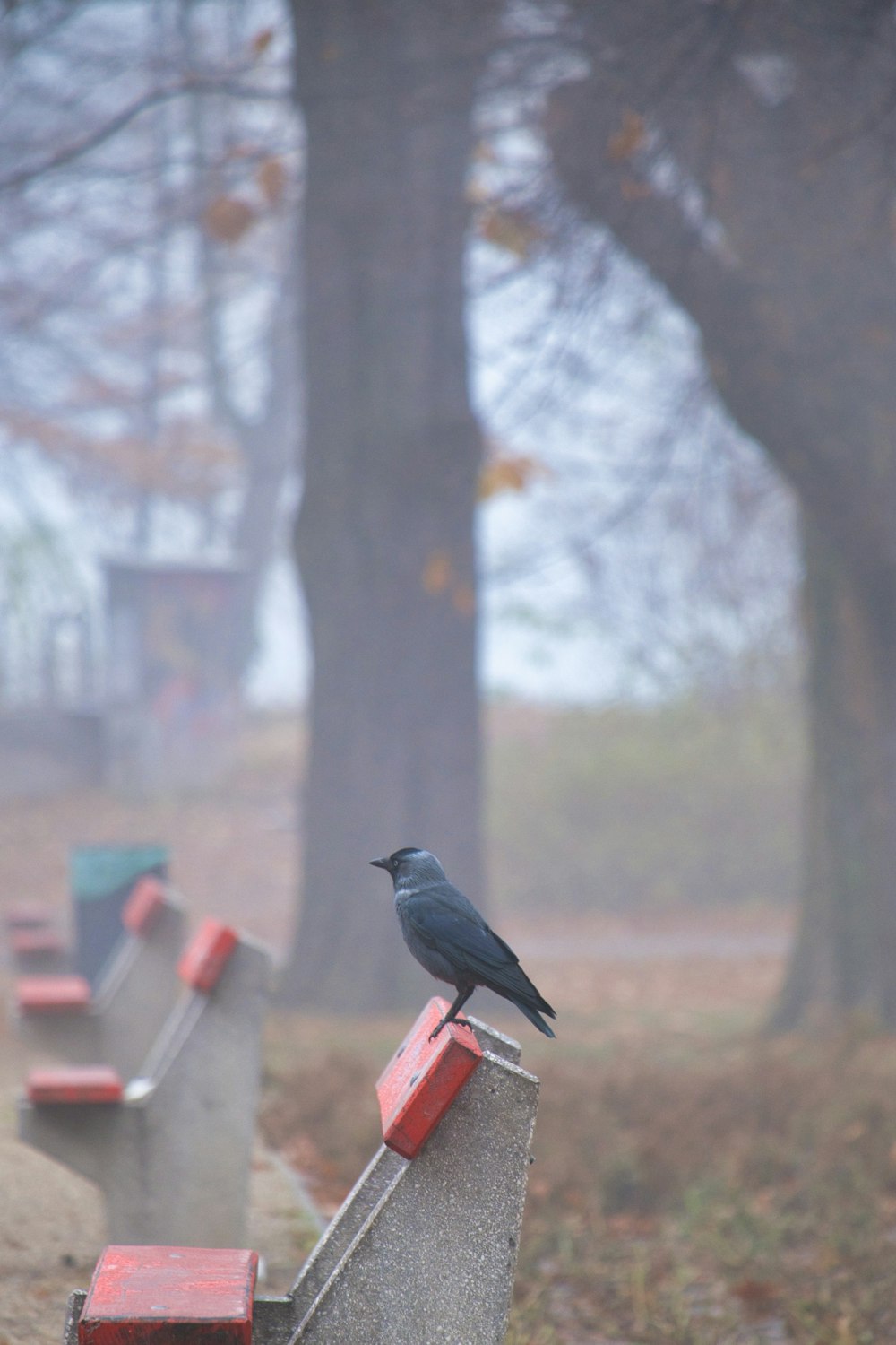 a black bird sitting on top of a cement bench