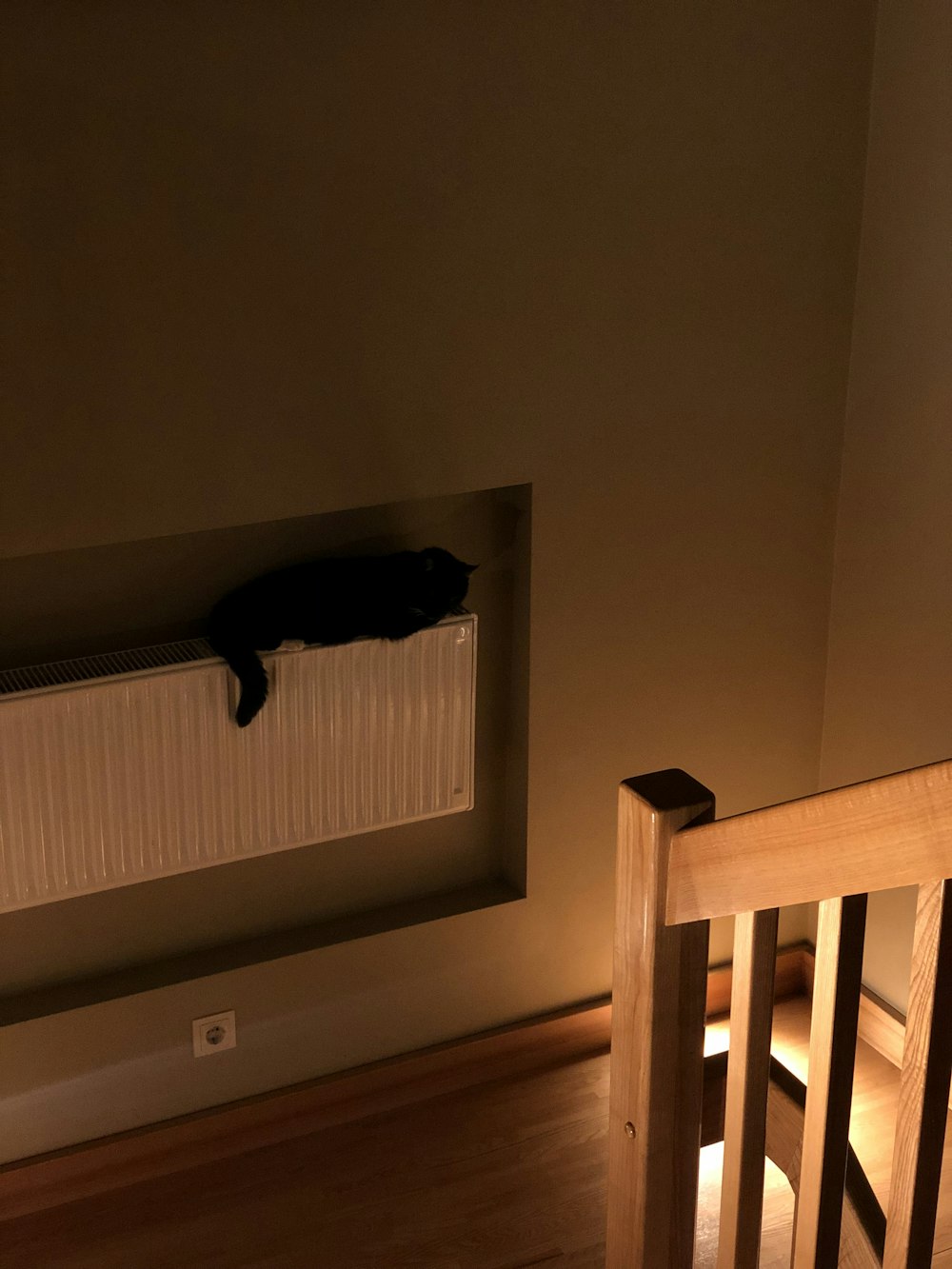 a cat laying on top of a radiator in a room