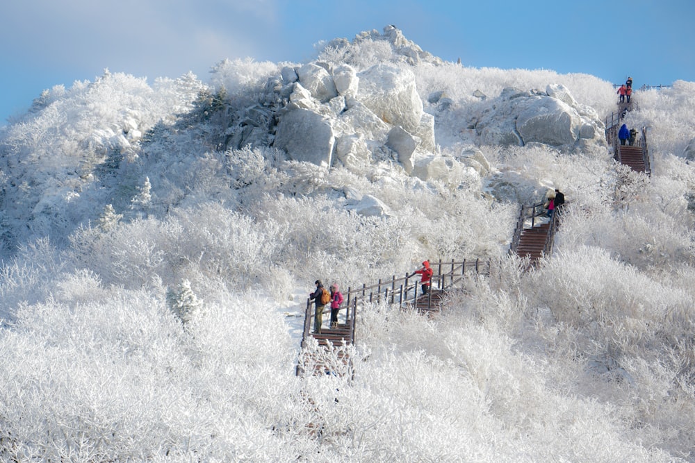 Un gruppo di persone che camminano su una collina innevata