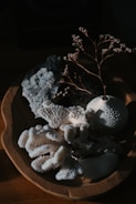 a wooden bowl filled with different types of coral