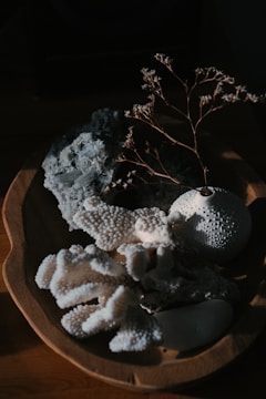 a wooden bowl filled with different types of coral