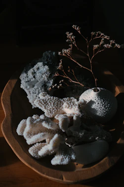 Elegant, small souvenir pieces arranged on a wooden surface with soft, natural lighting highlighting their fine textures.