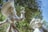 Two large sculptures of cartoon characters are set outdoors, surrounded by green foliage and a clear blue sky. One character, wearing a large hat and sporting a hook for a hand, has a mischievous grin. The other character is shorter, with a round face and an amused expression, appearing to wave.