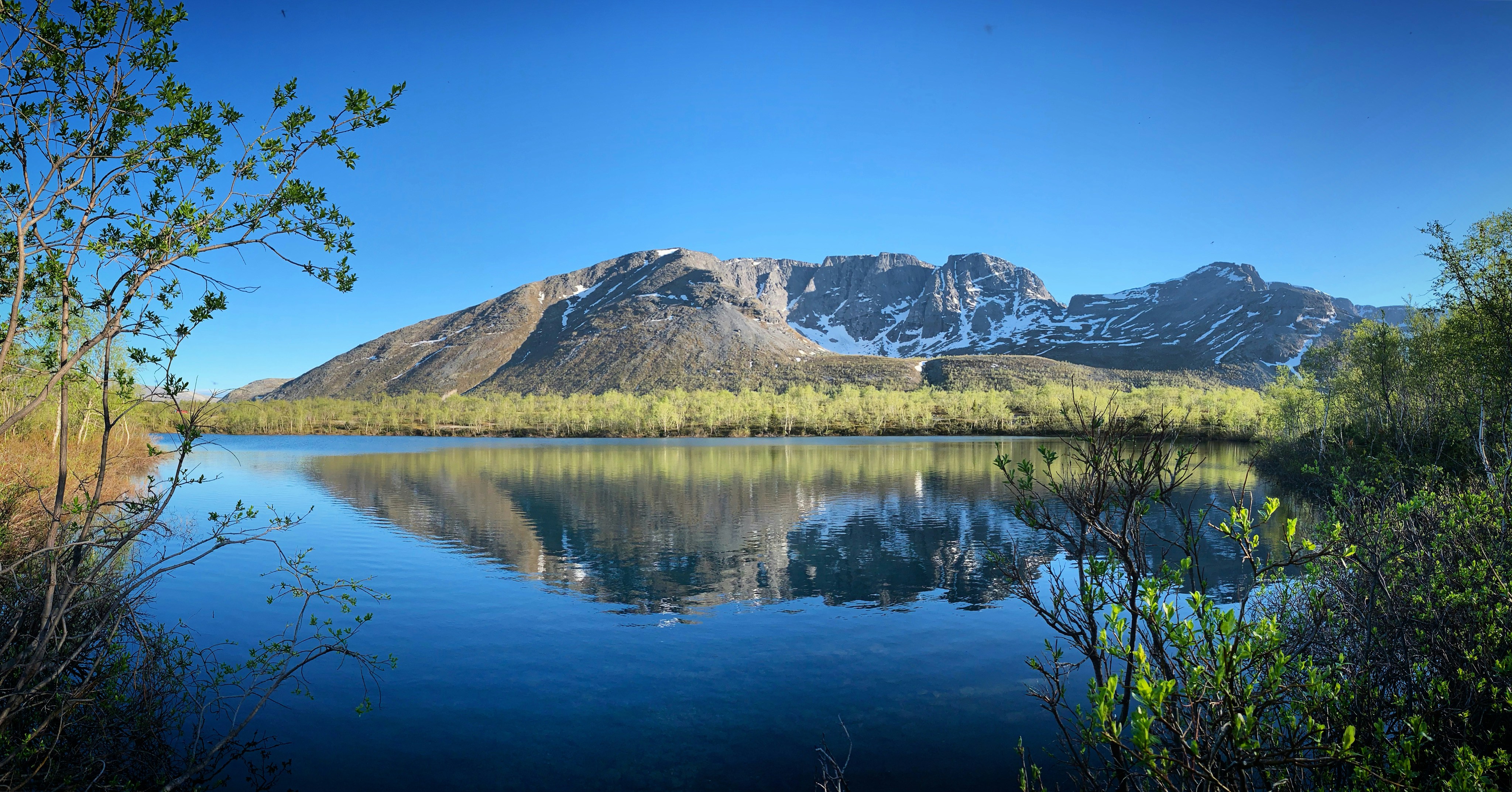 Photo by sergei_gussev