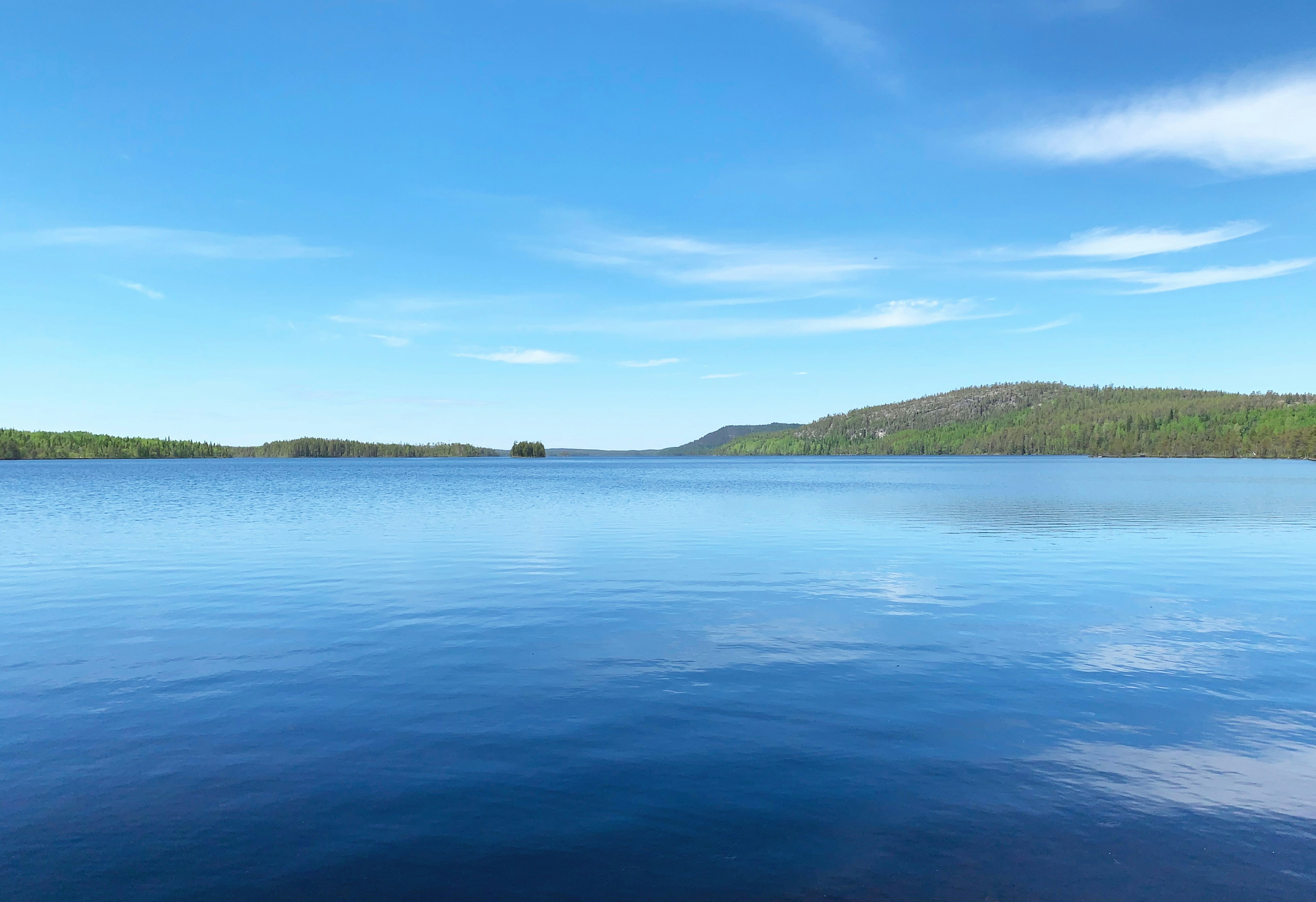 Photo by sergei_gussev