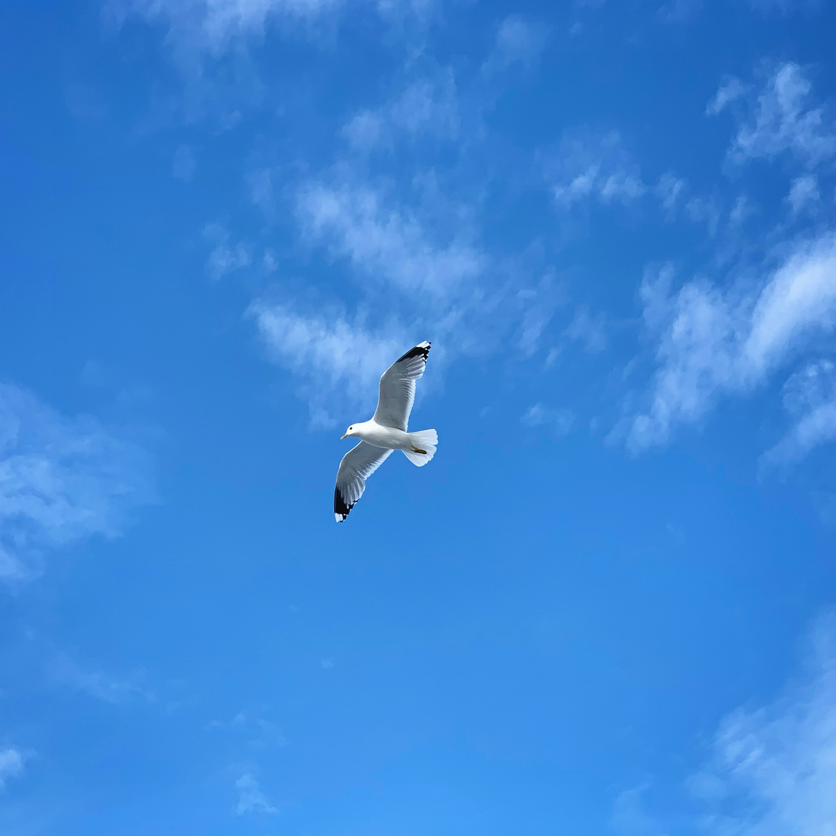 Photo by sergei_gussev