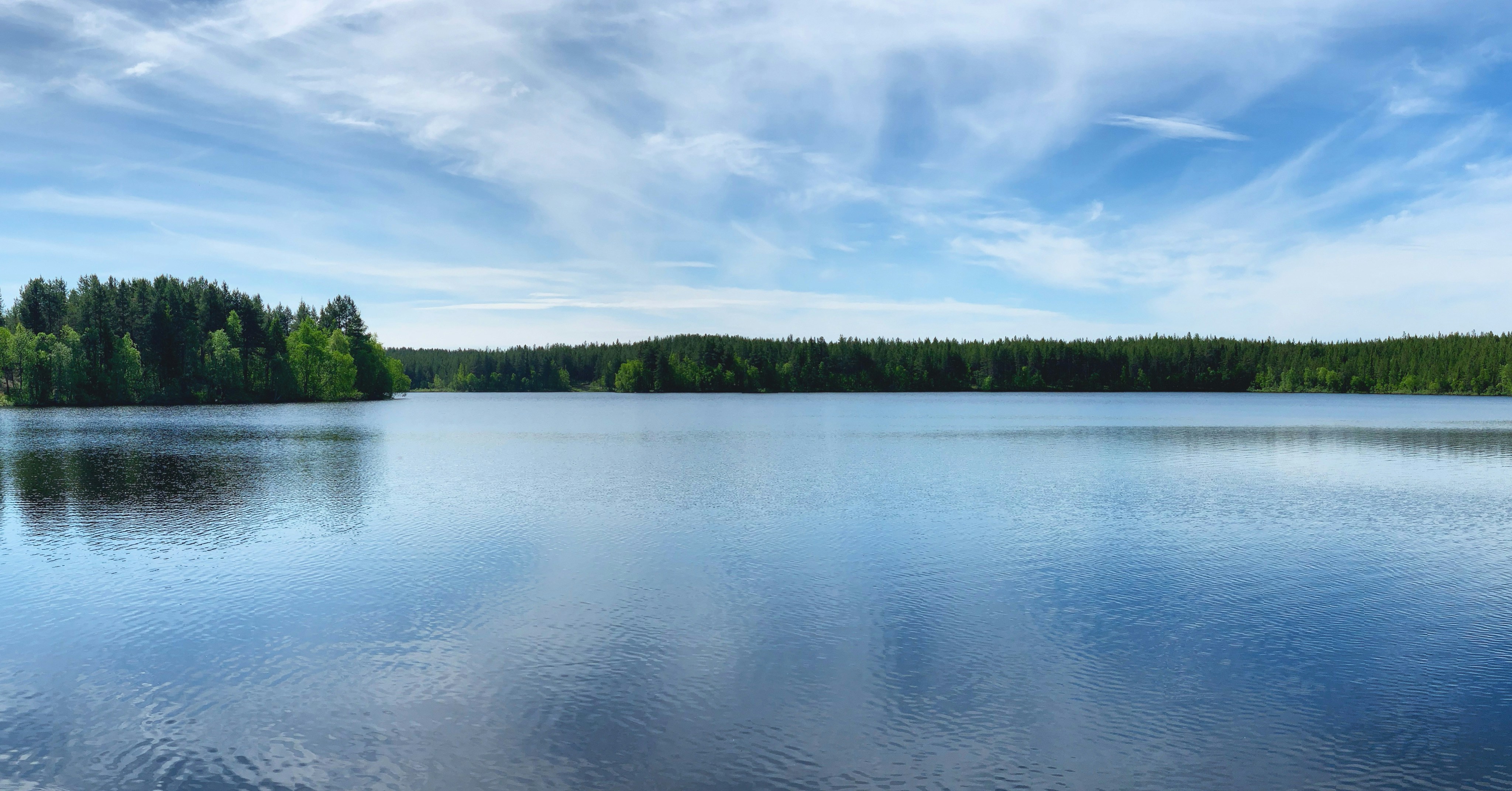 Photo by sergei_gussev