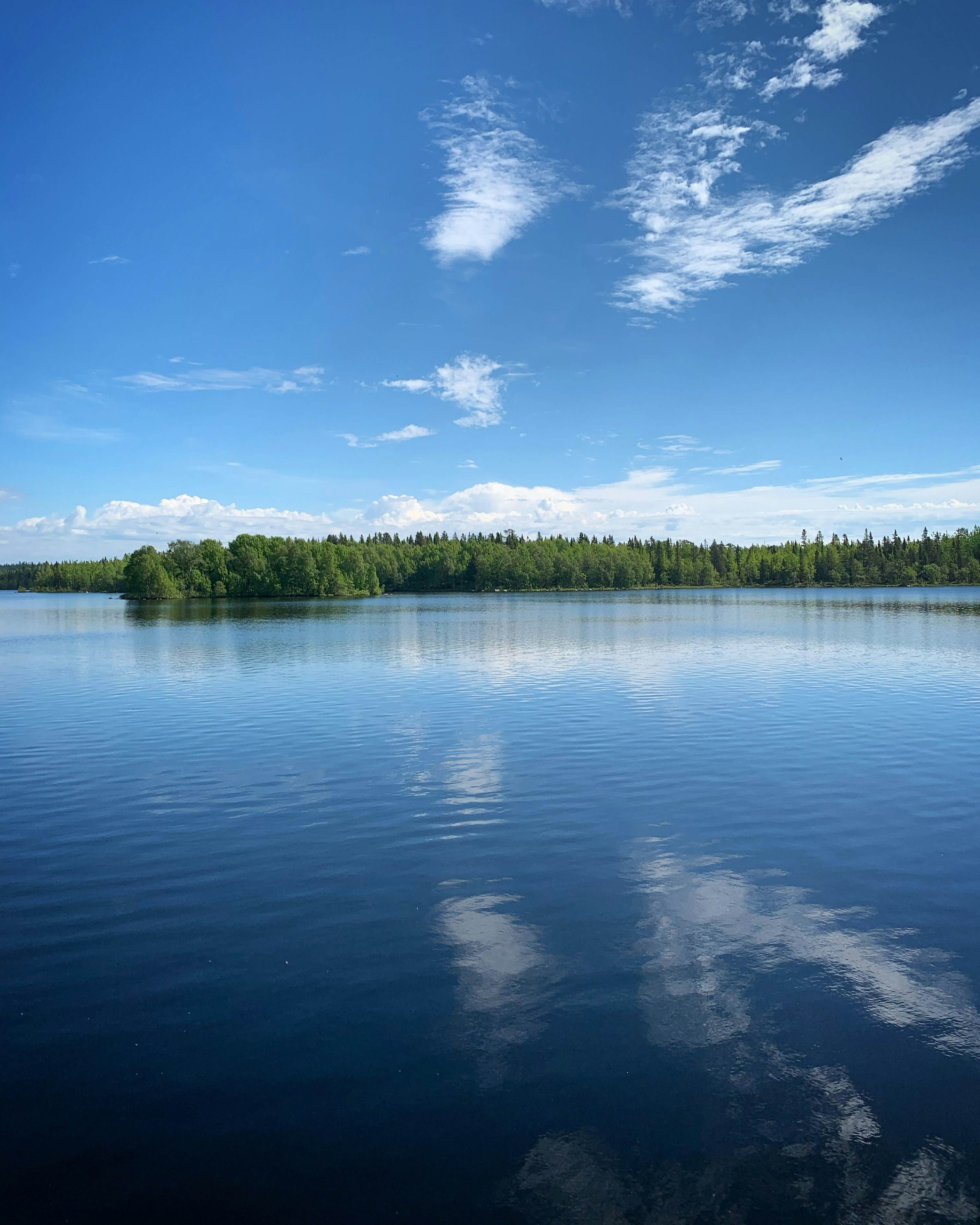 Photo by sergei_gussev