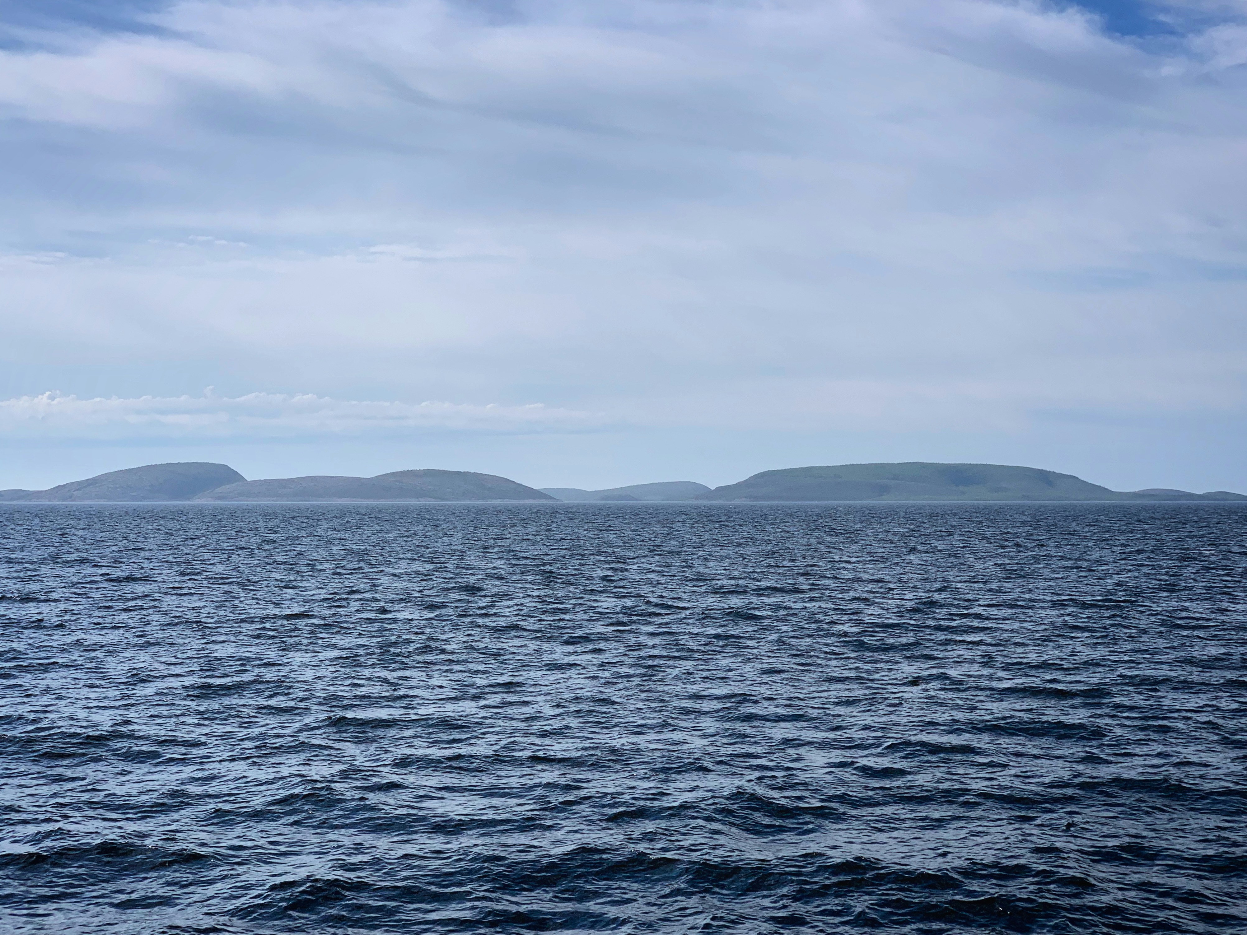 Photo by sergei_gussev