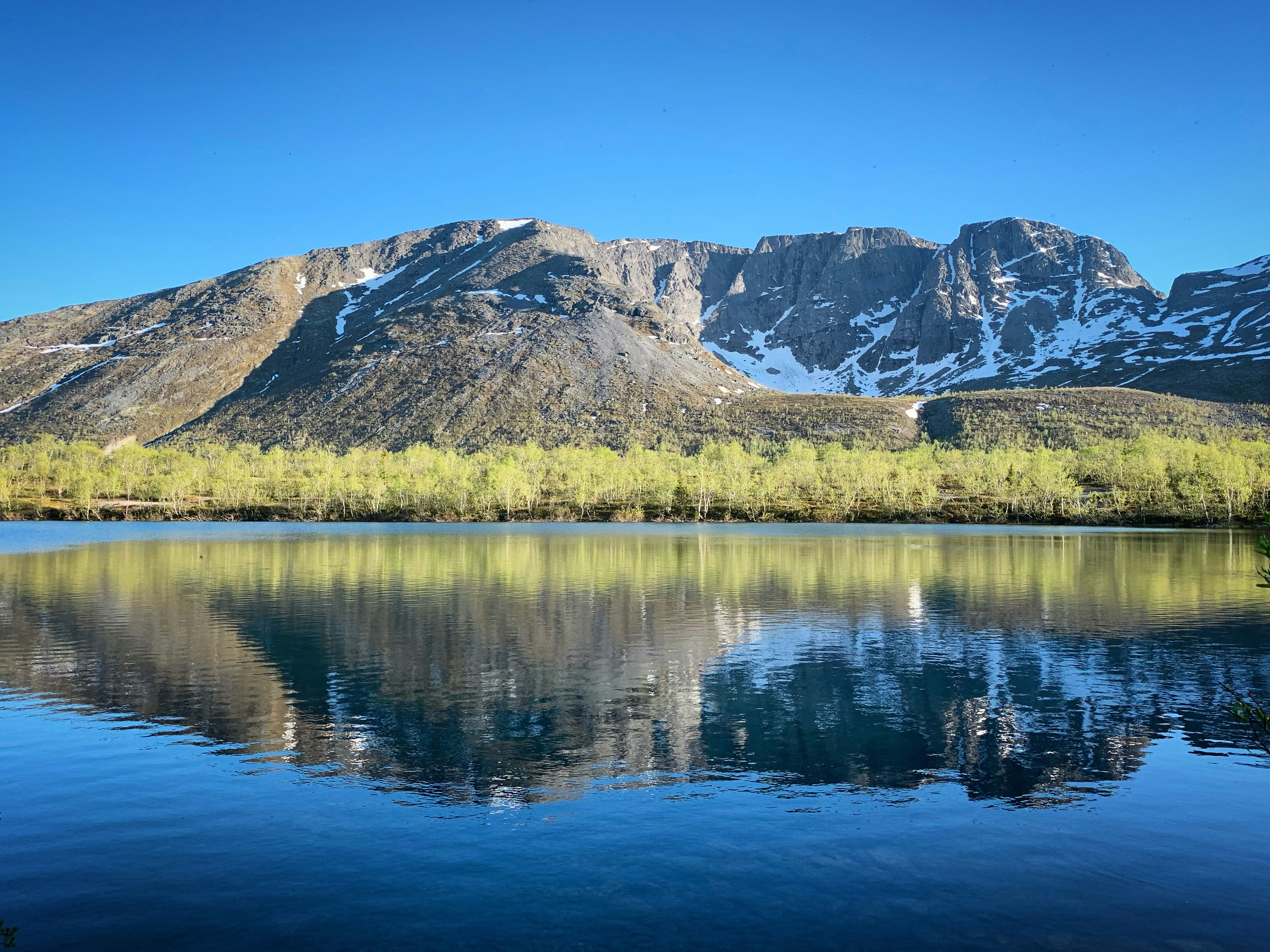 Photo by sergei_gussev