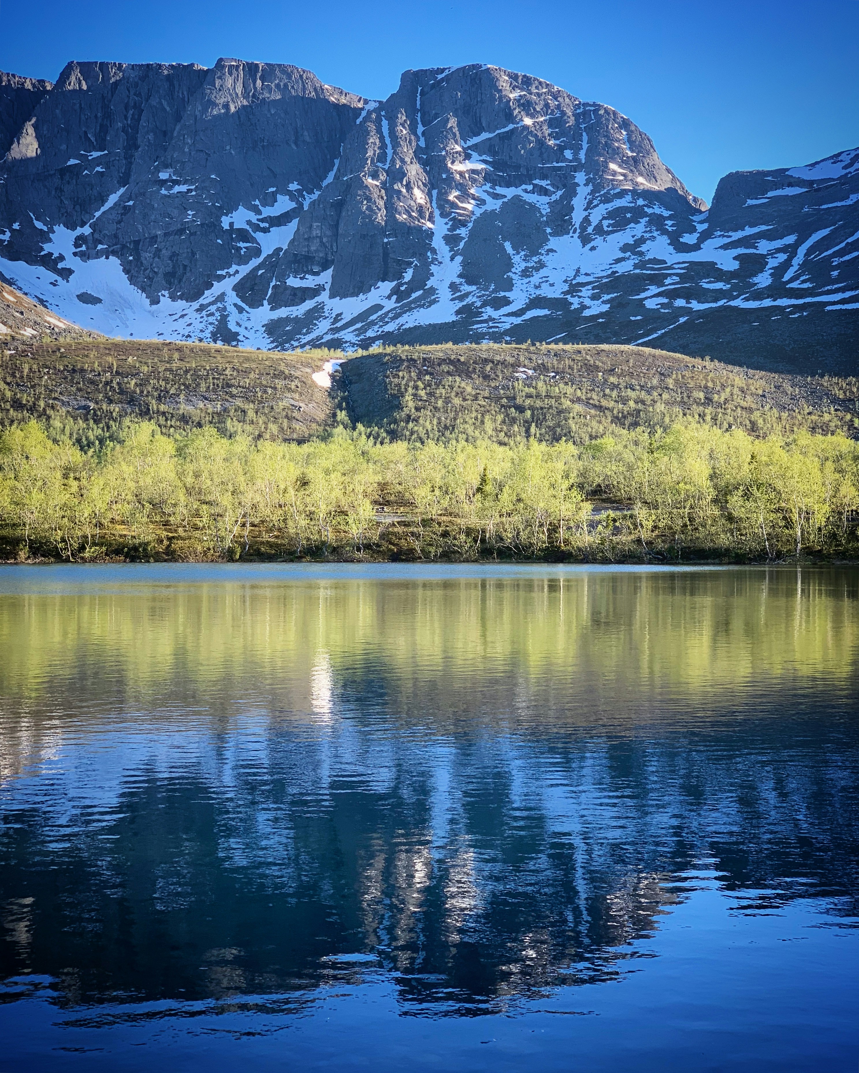 Photo by sergei_gussev