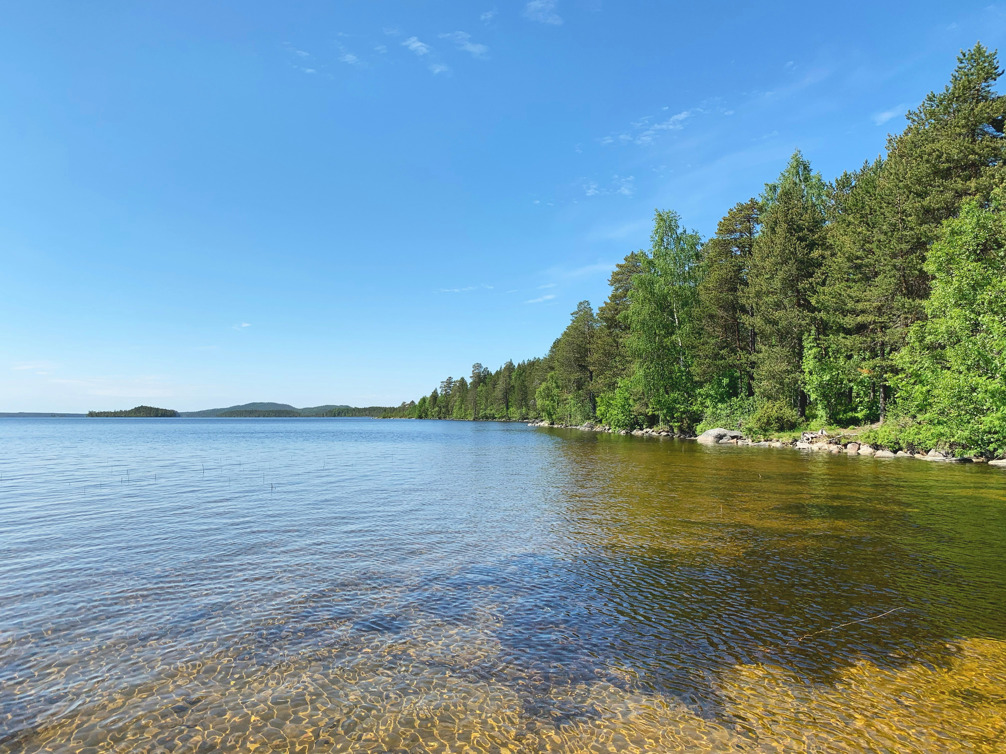 Photo by sergei_gussev