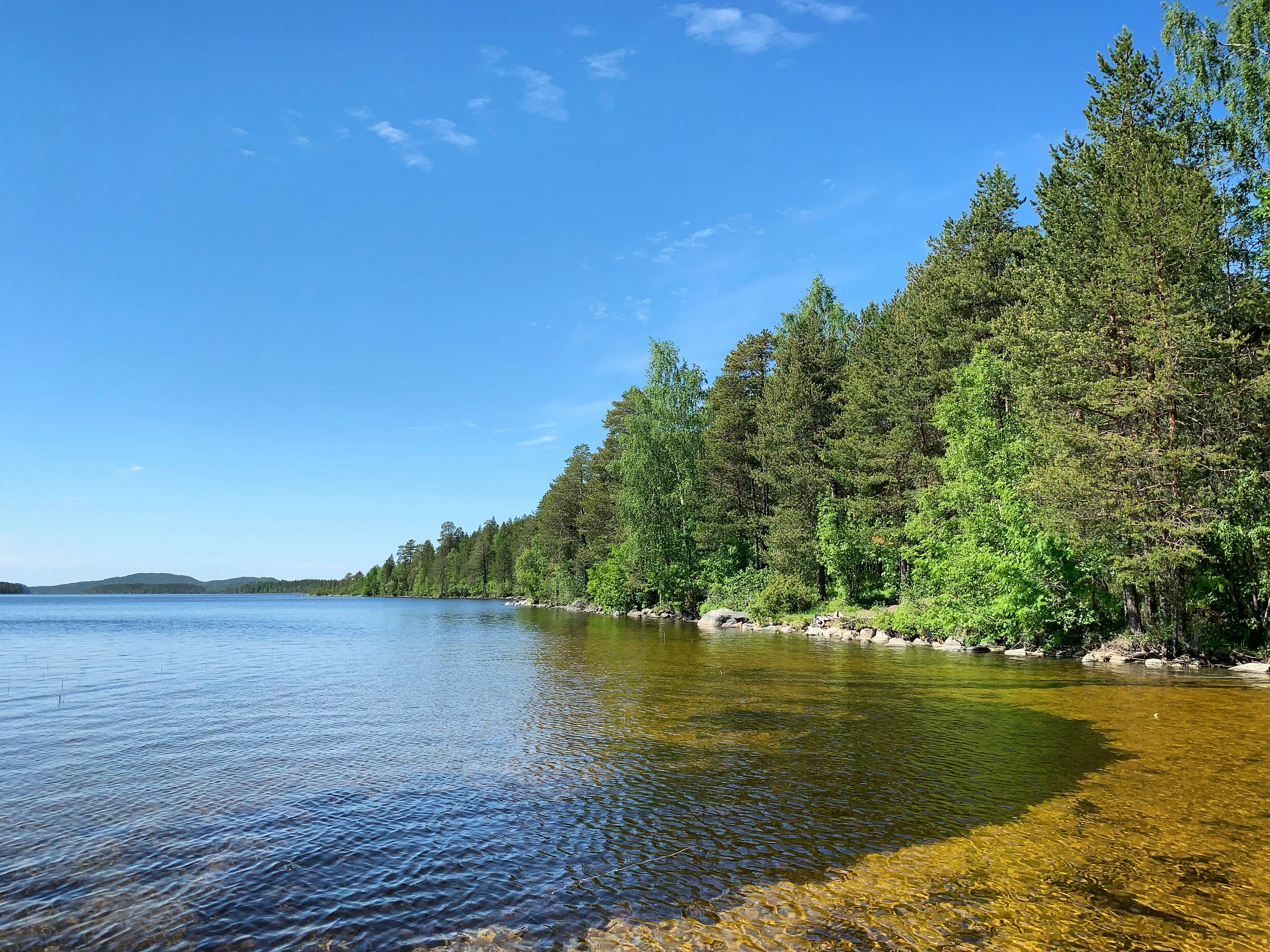 Photo by sergei_gussev