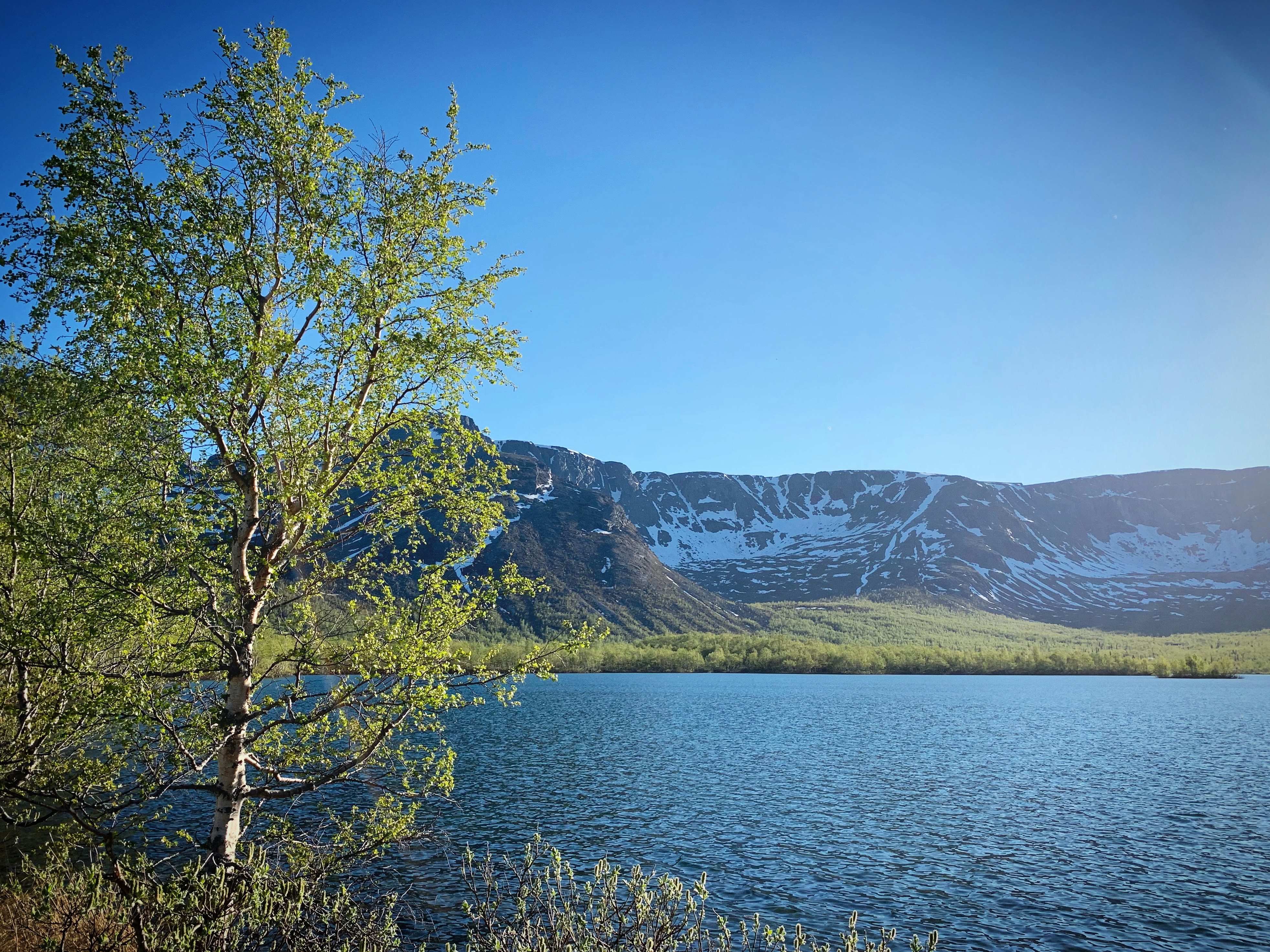 Photo by sergei_gussev