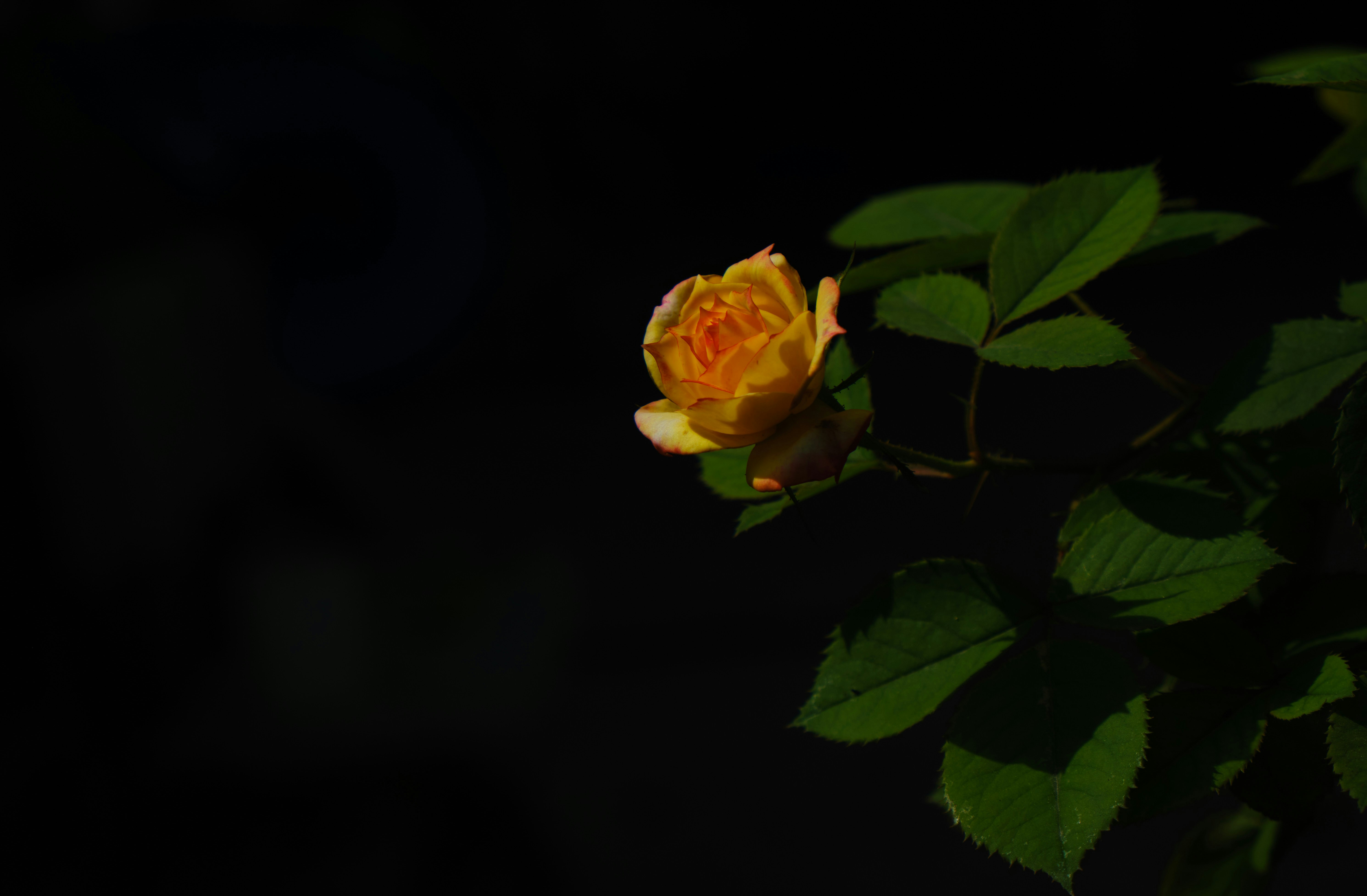 Photo by manhterry93