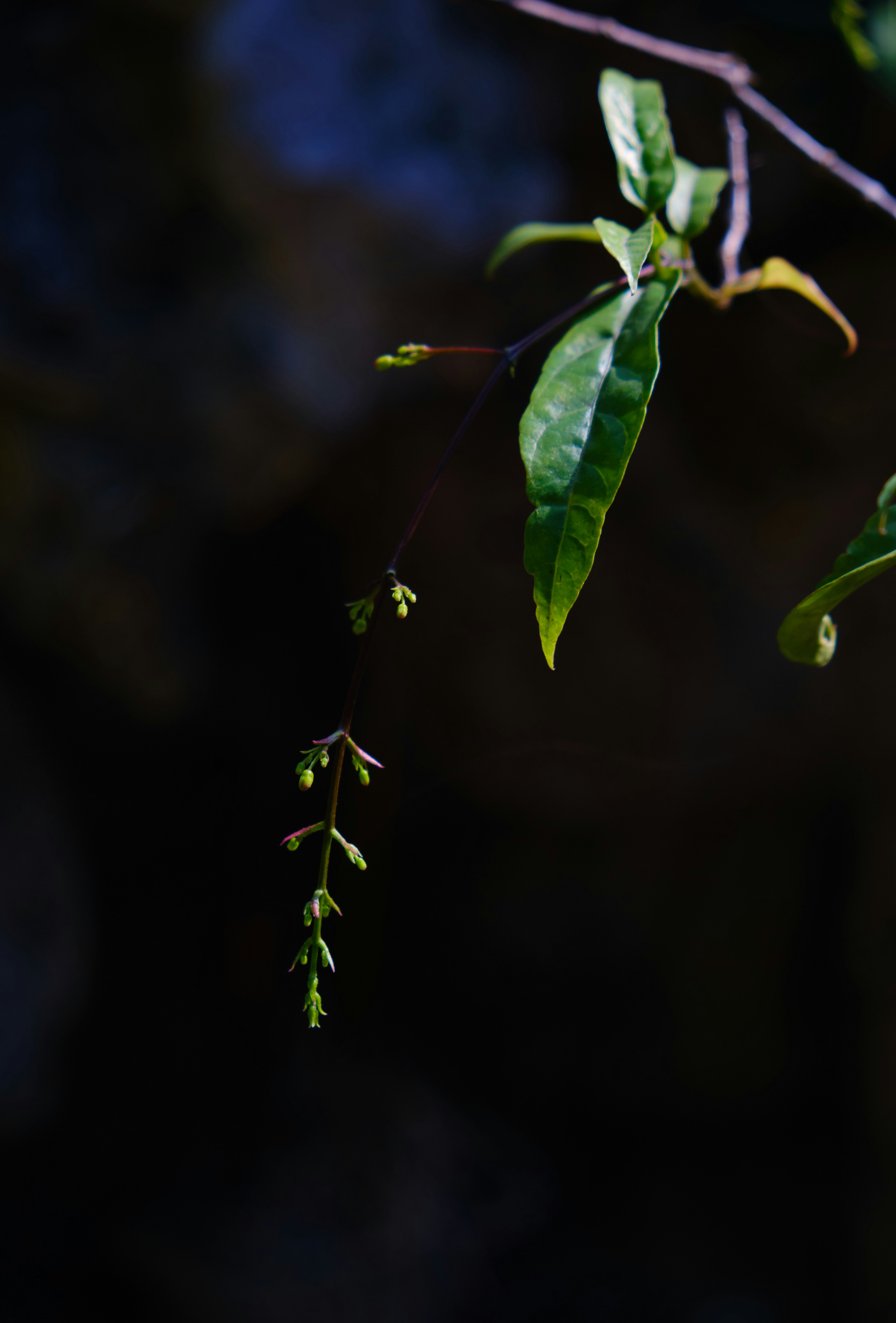 Photo by manhterry93