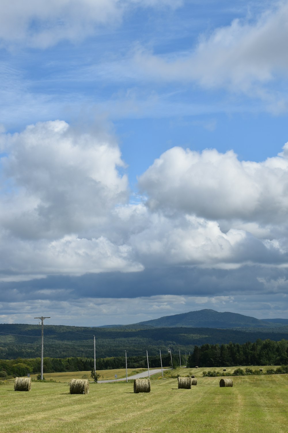 a field with bales of hay in the foreground