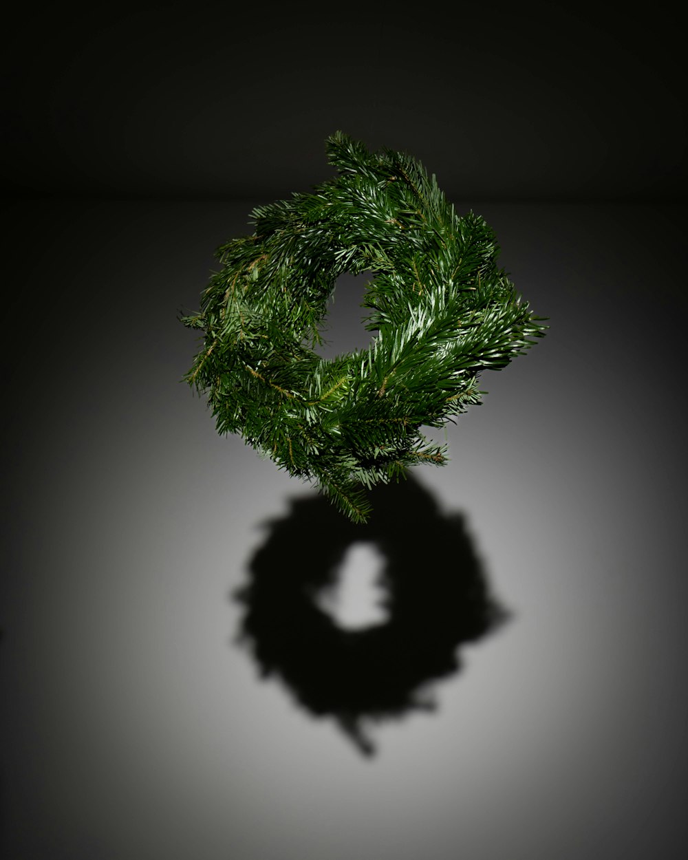 a pine wreath casts a shadow on a dark background