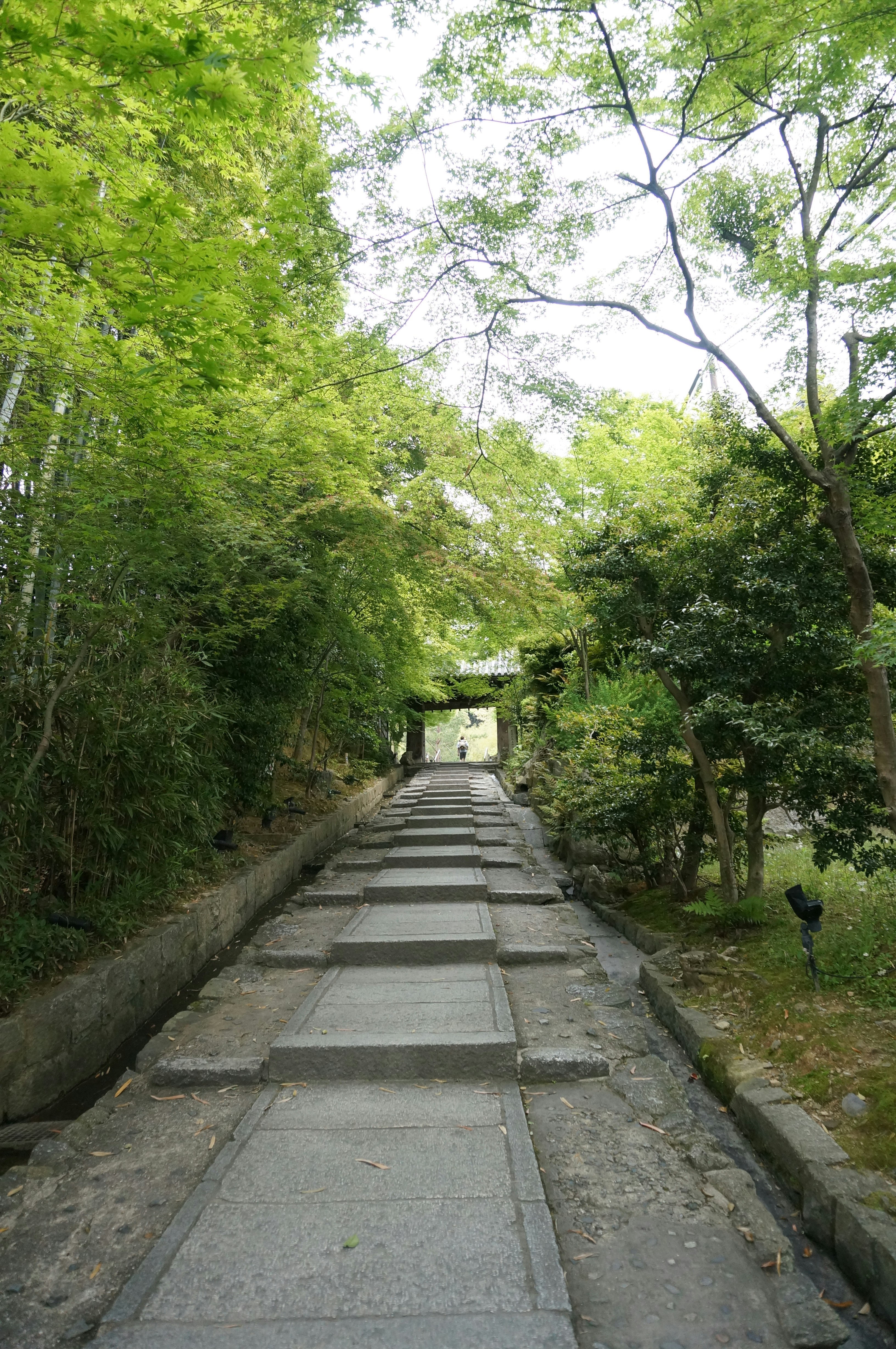 Photo by shinerising