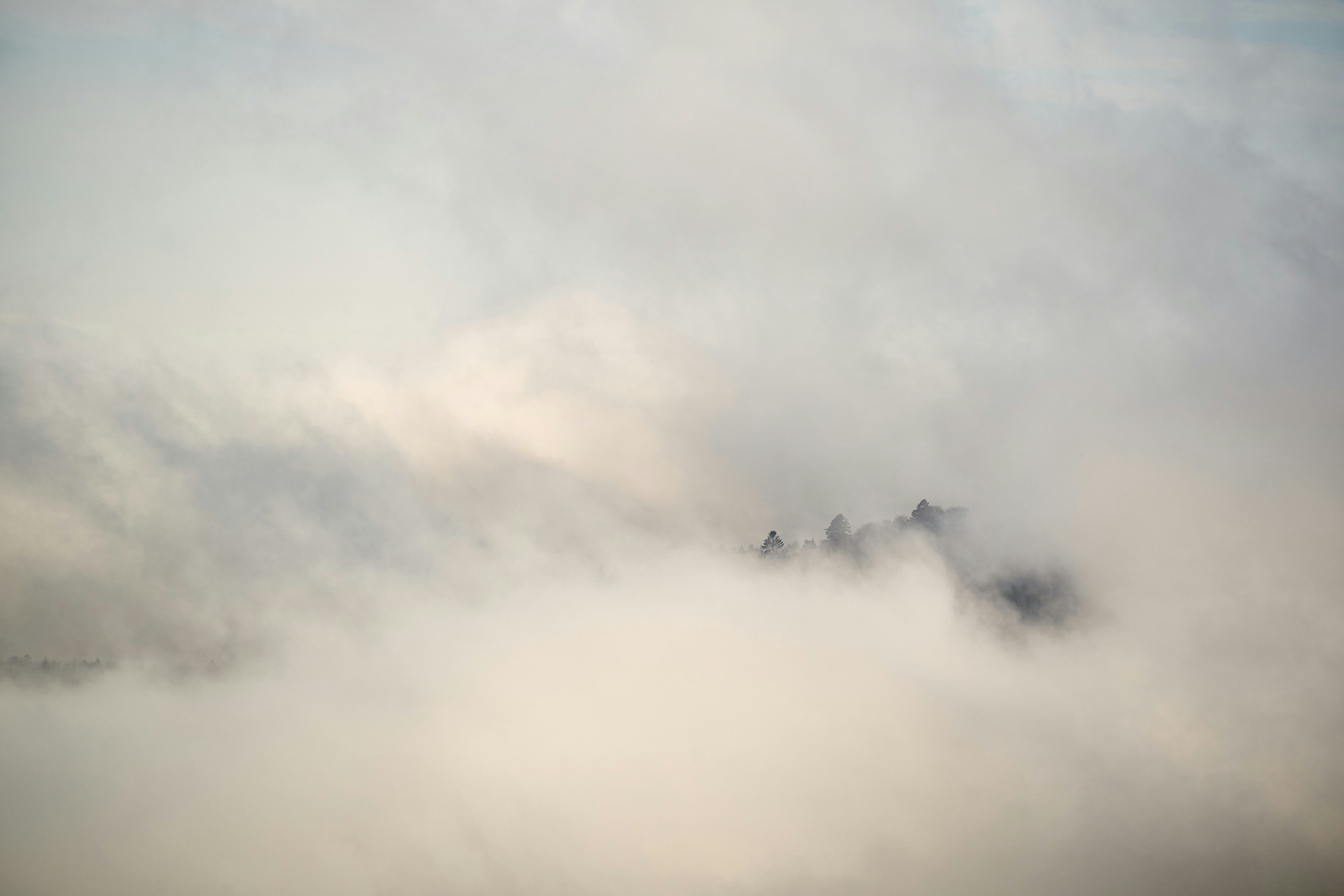 Photo by wolfgang_hasselmann