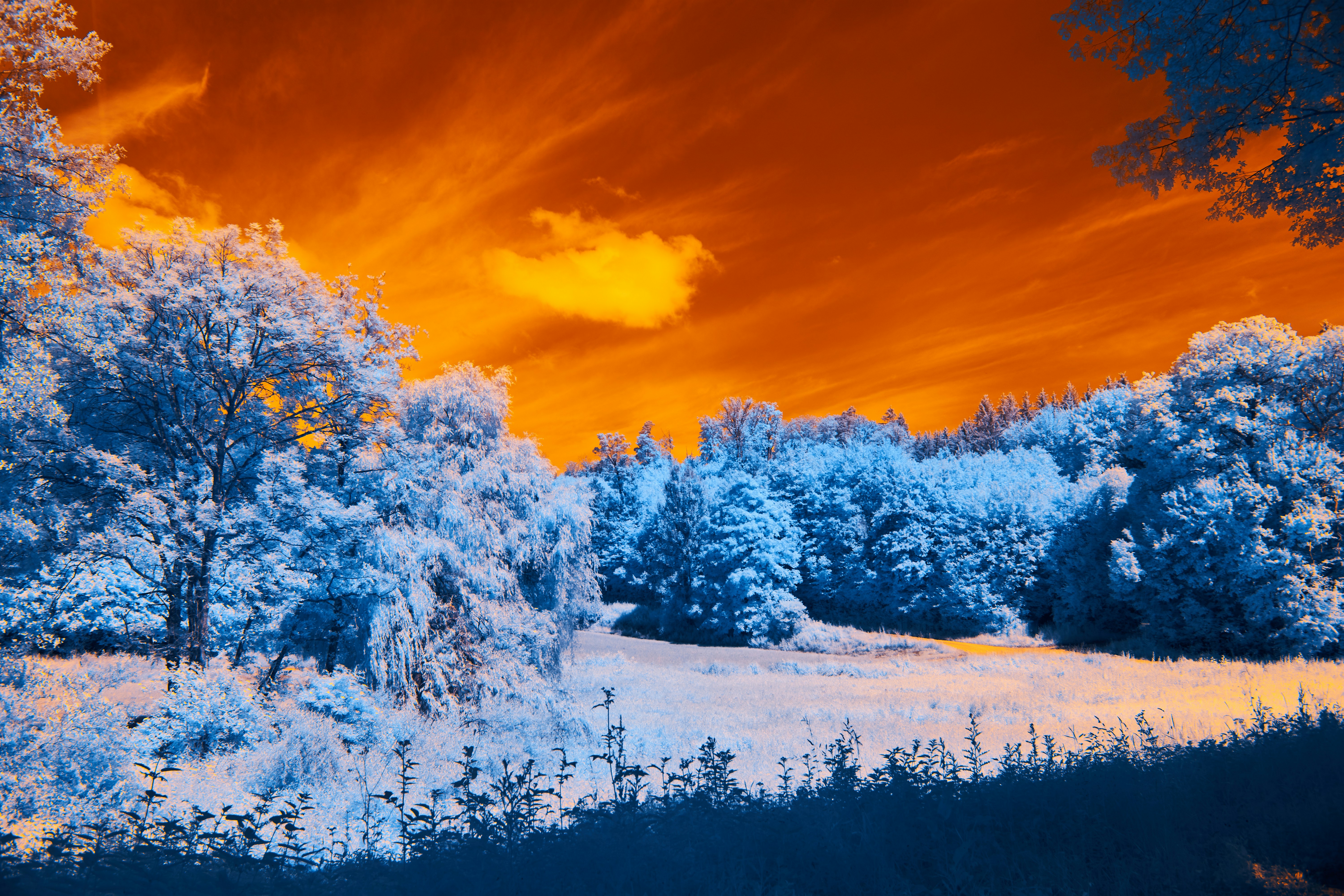 Photo by wolfgang_hasselmann