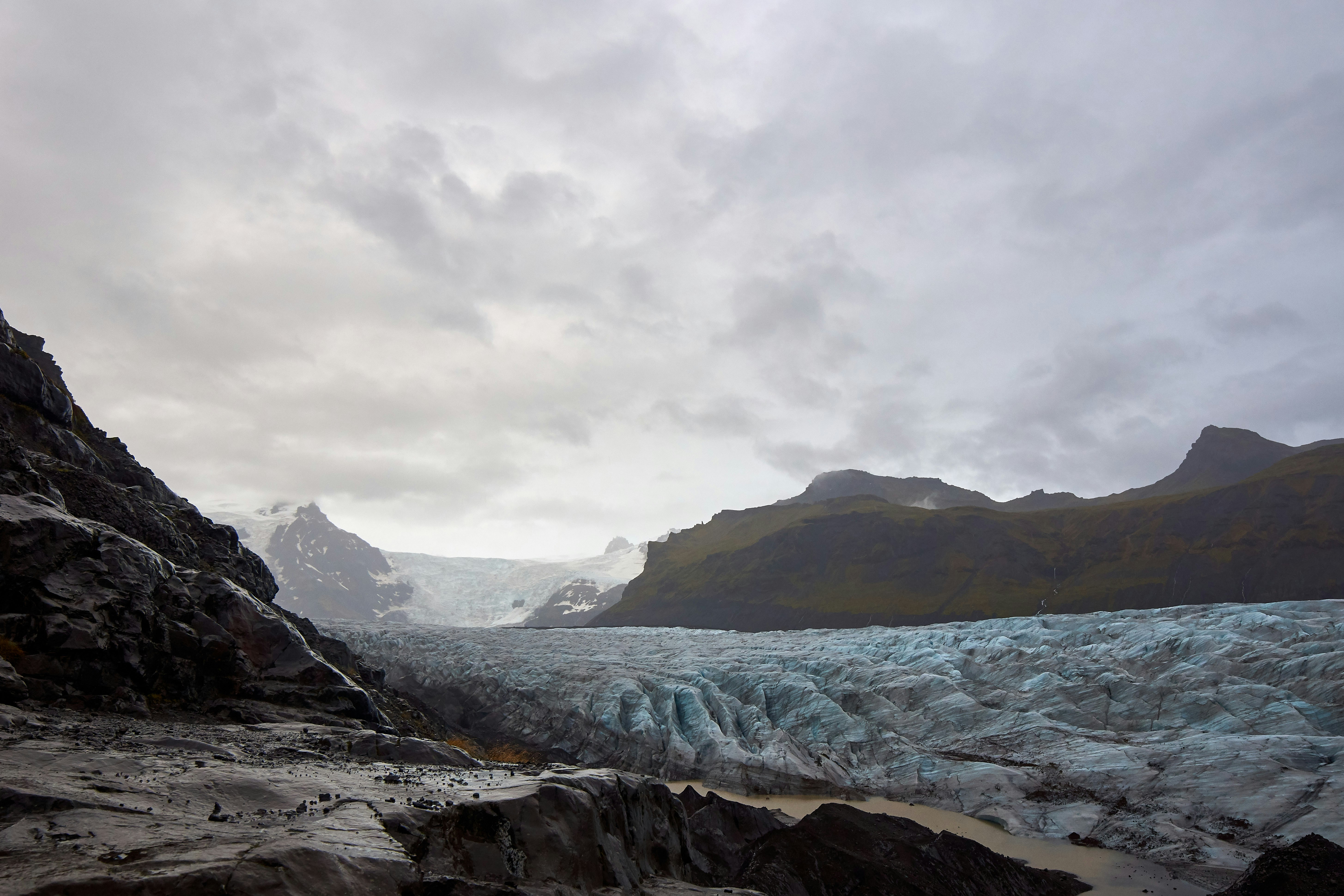 Photo by wolfgang_hasselmann