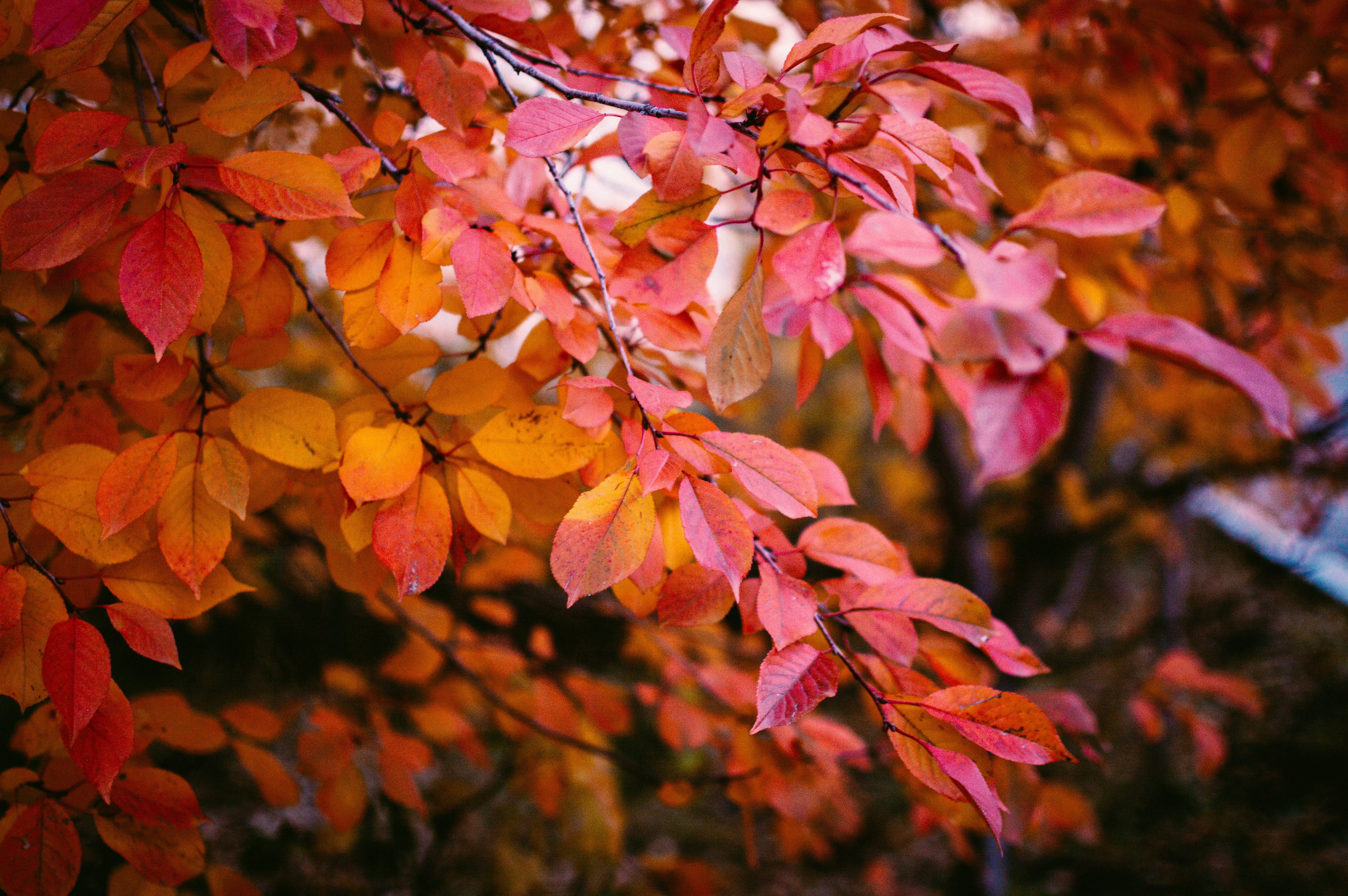 Photo by evgenyarsenev