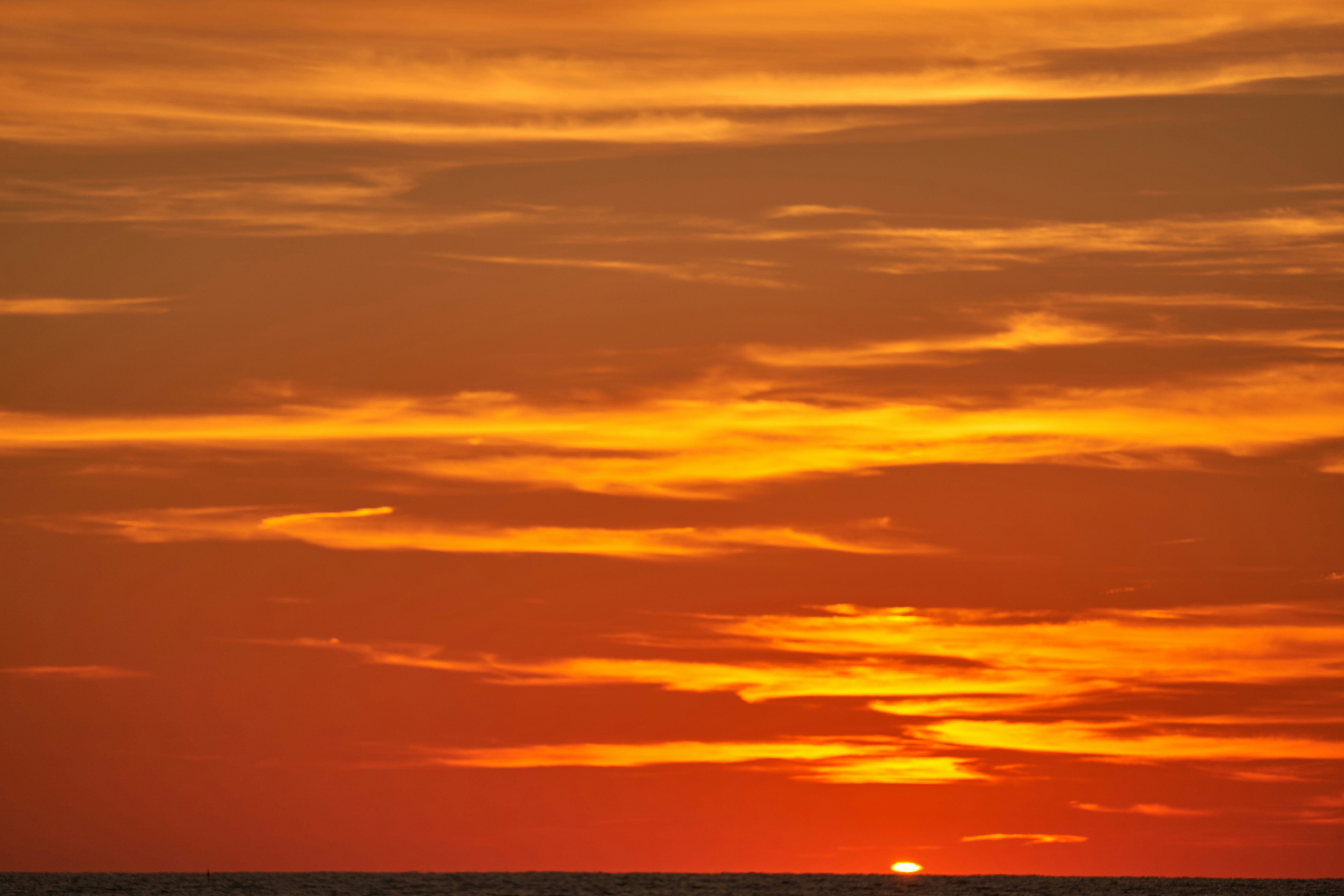 Photo by wolfgang_hasselmann