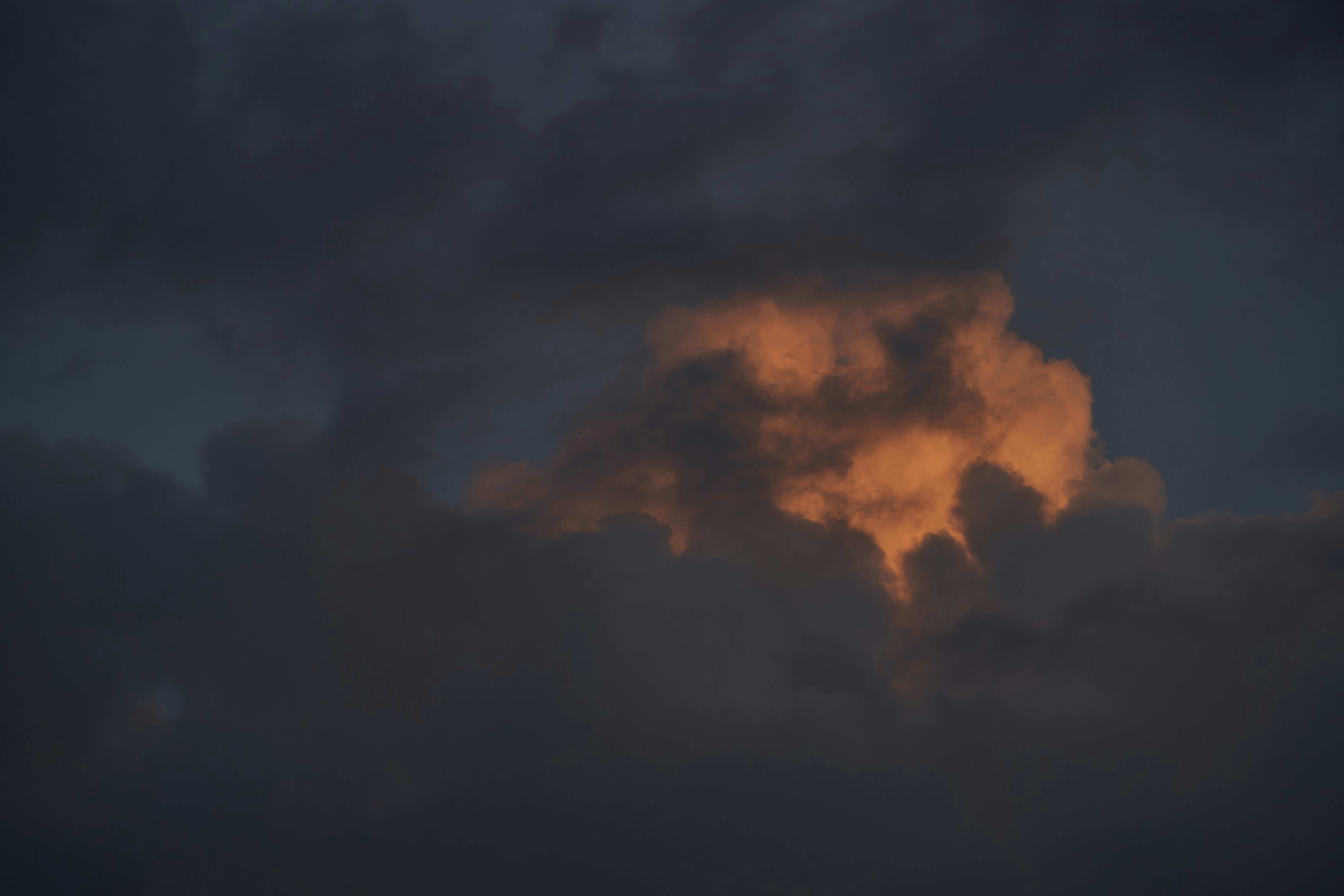 Photo by wolfgang_hasselmann