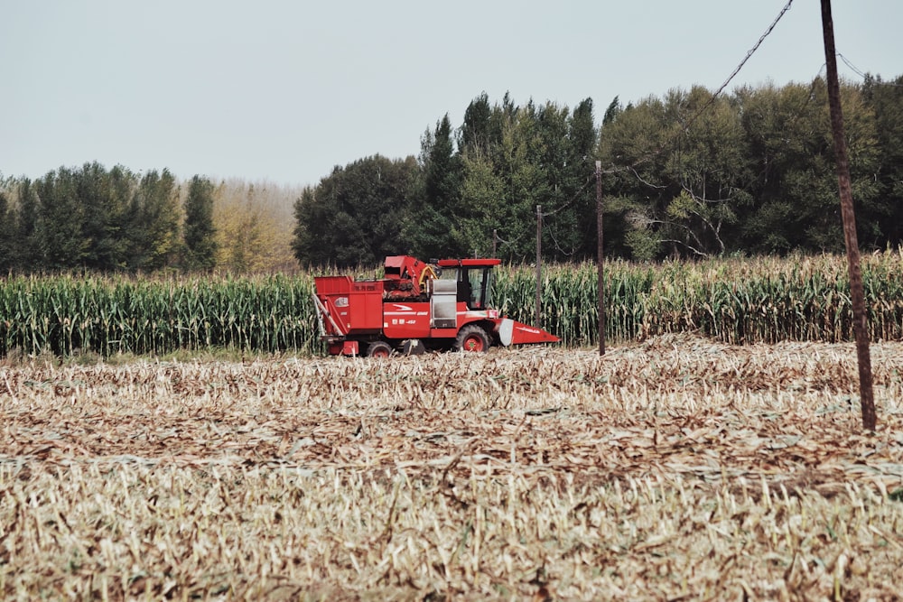 a red tractor in a field of corn