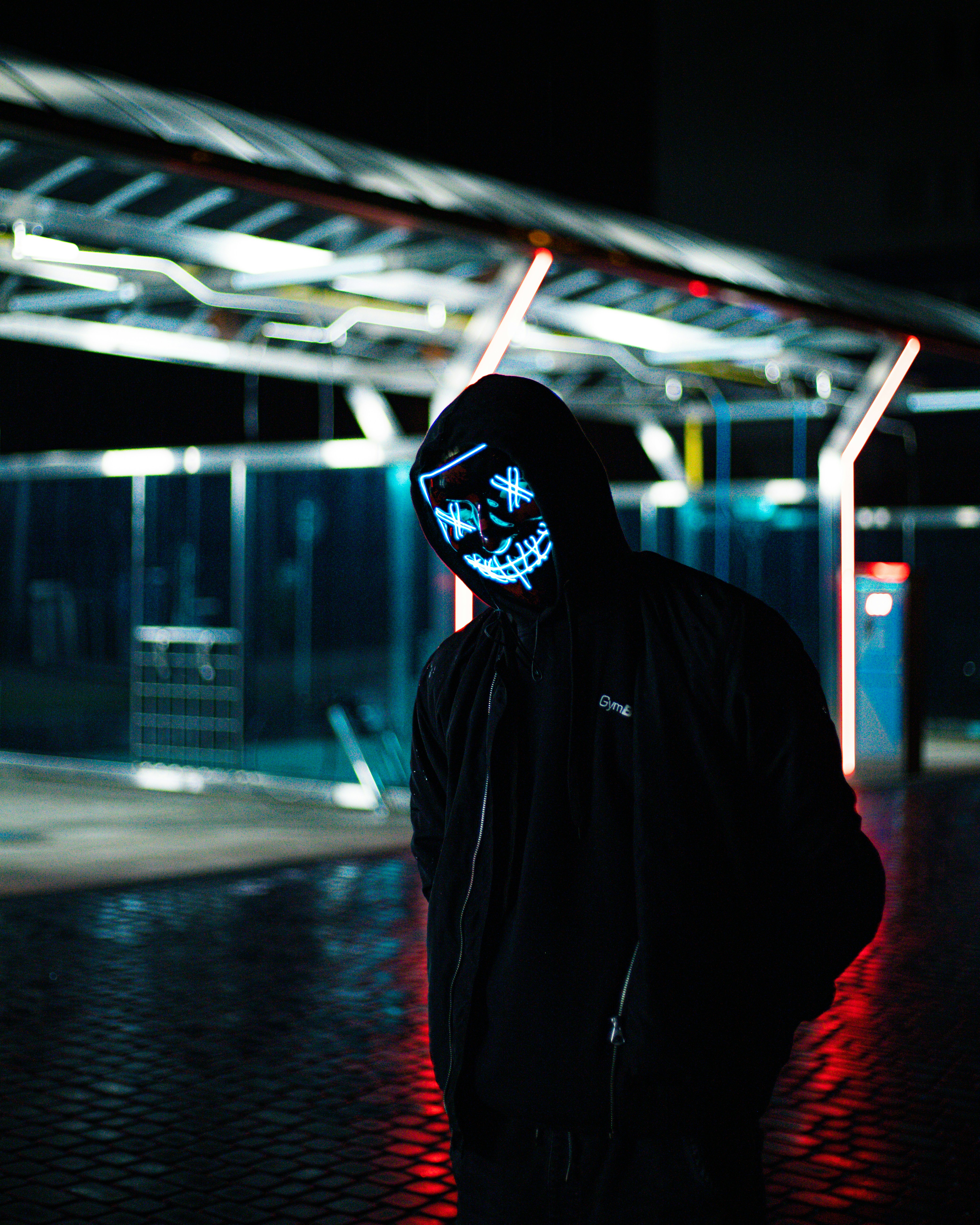 Harnessing the Dark: Violence, Domination, and Discipline