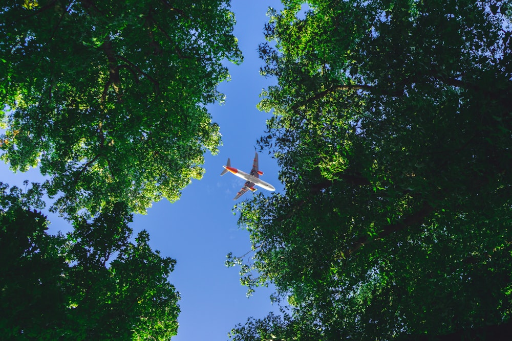 an airplane is flying through the trees on a sunny day
