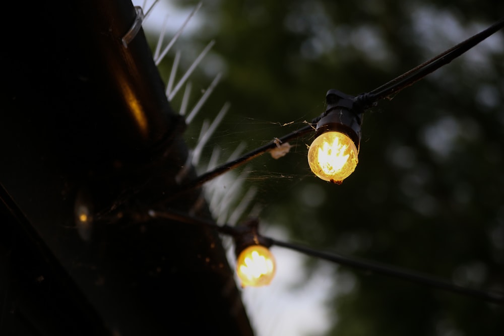 a couple of lights that are on a pole