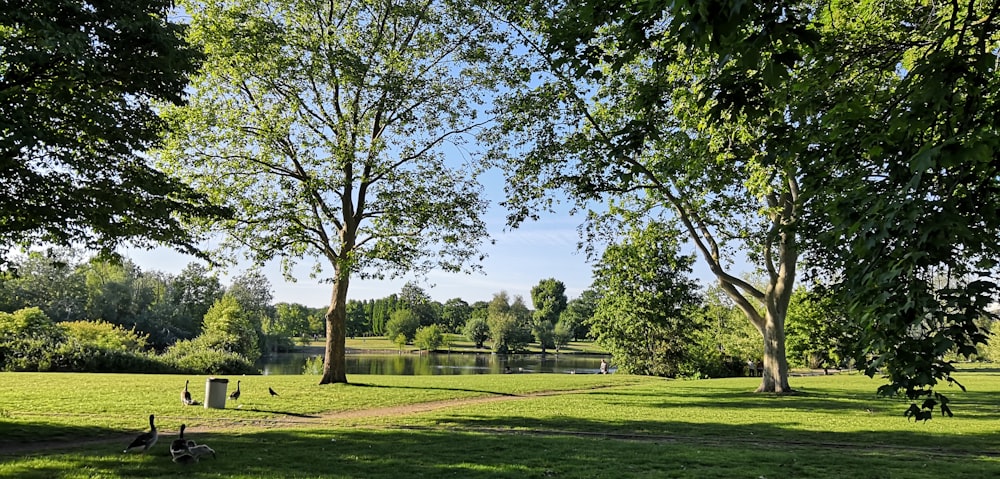 a park with a lake and trees in the background