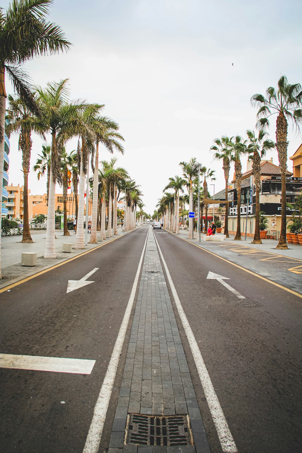 a street lined with palm trees and buildings