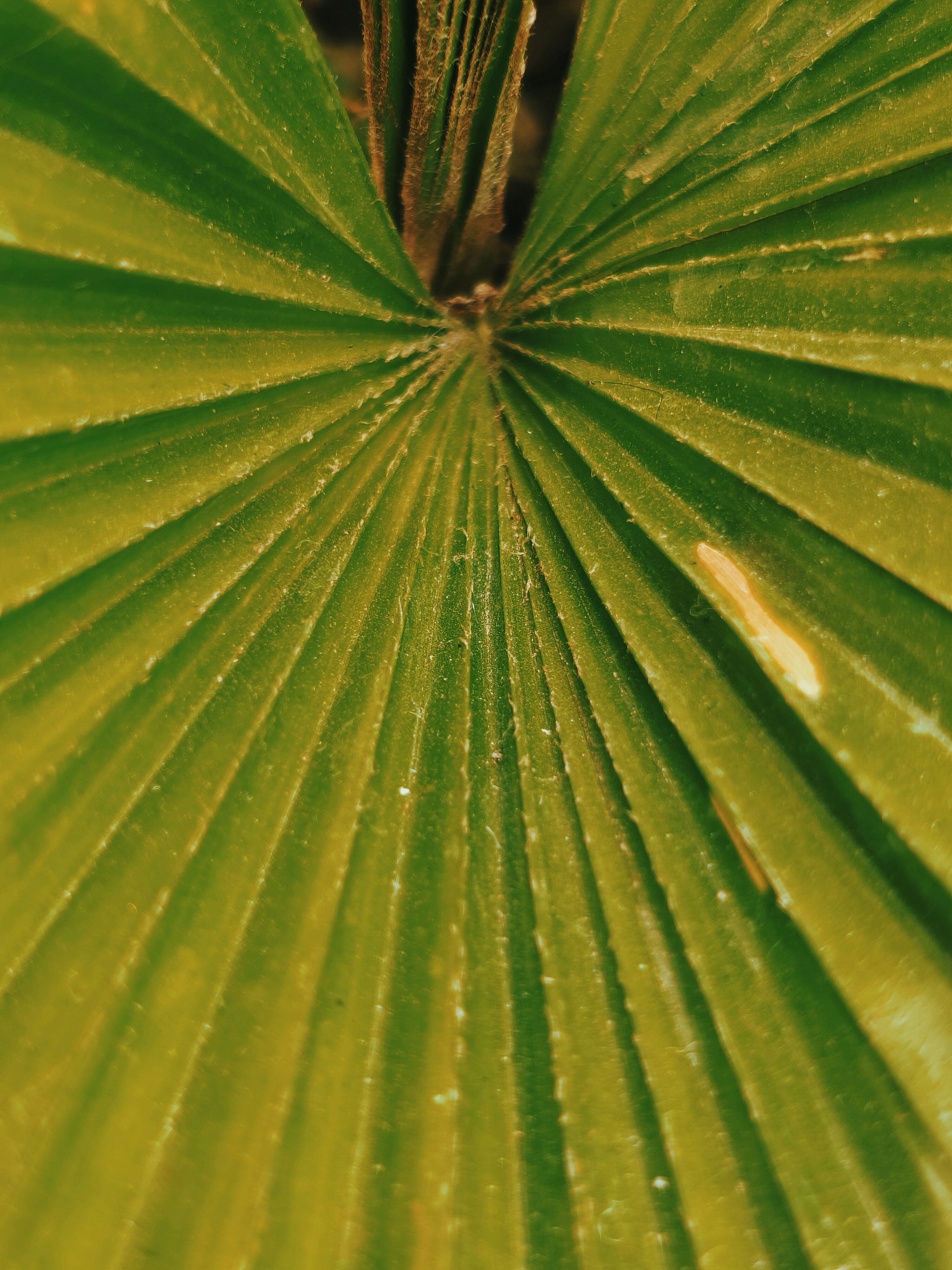 Photo by abhishekk50