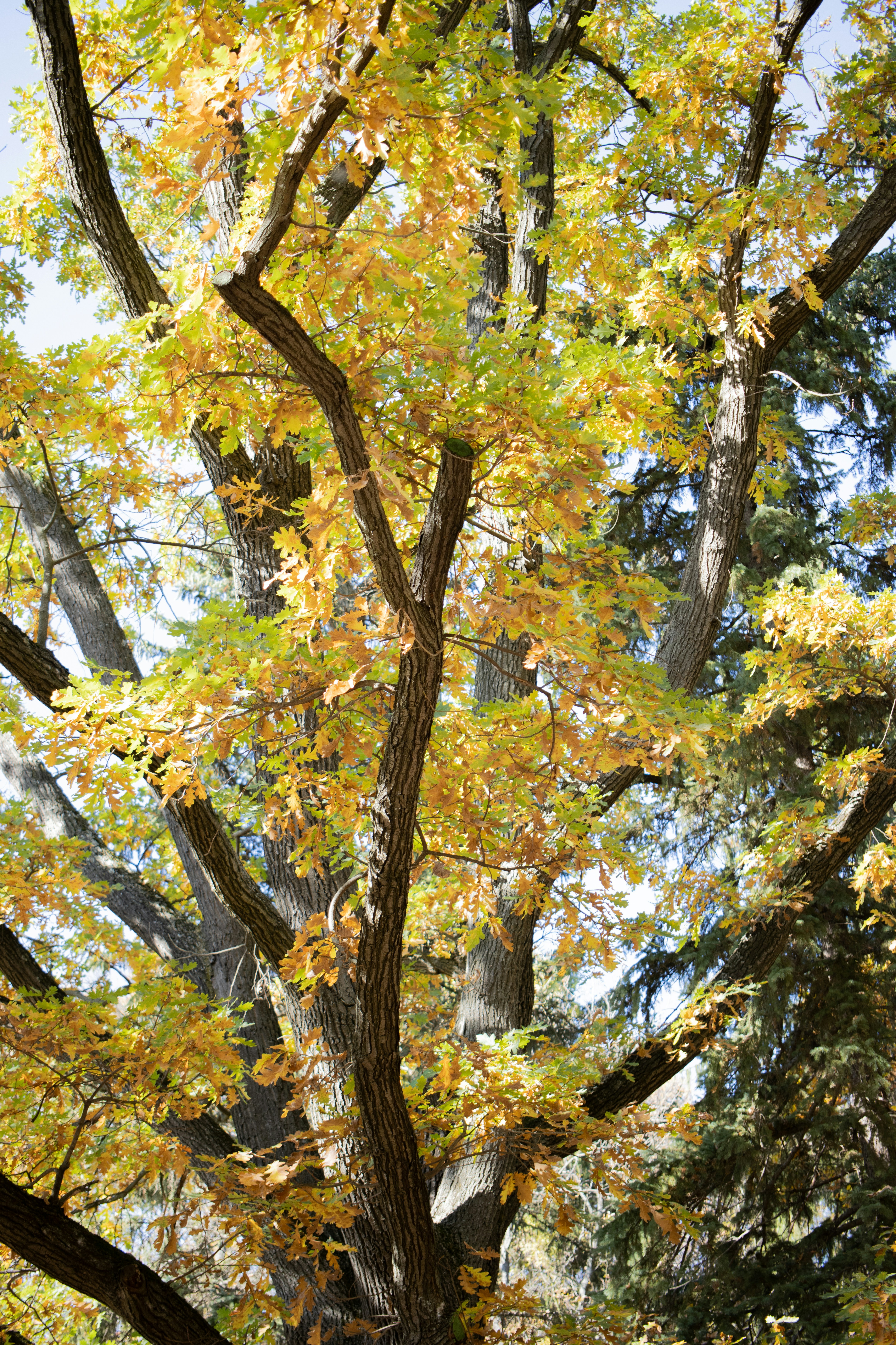 Photo by bkaraivanov