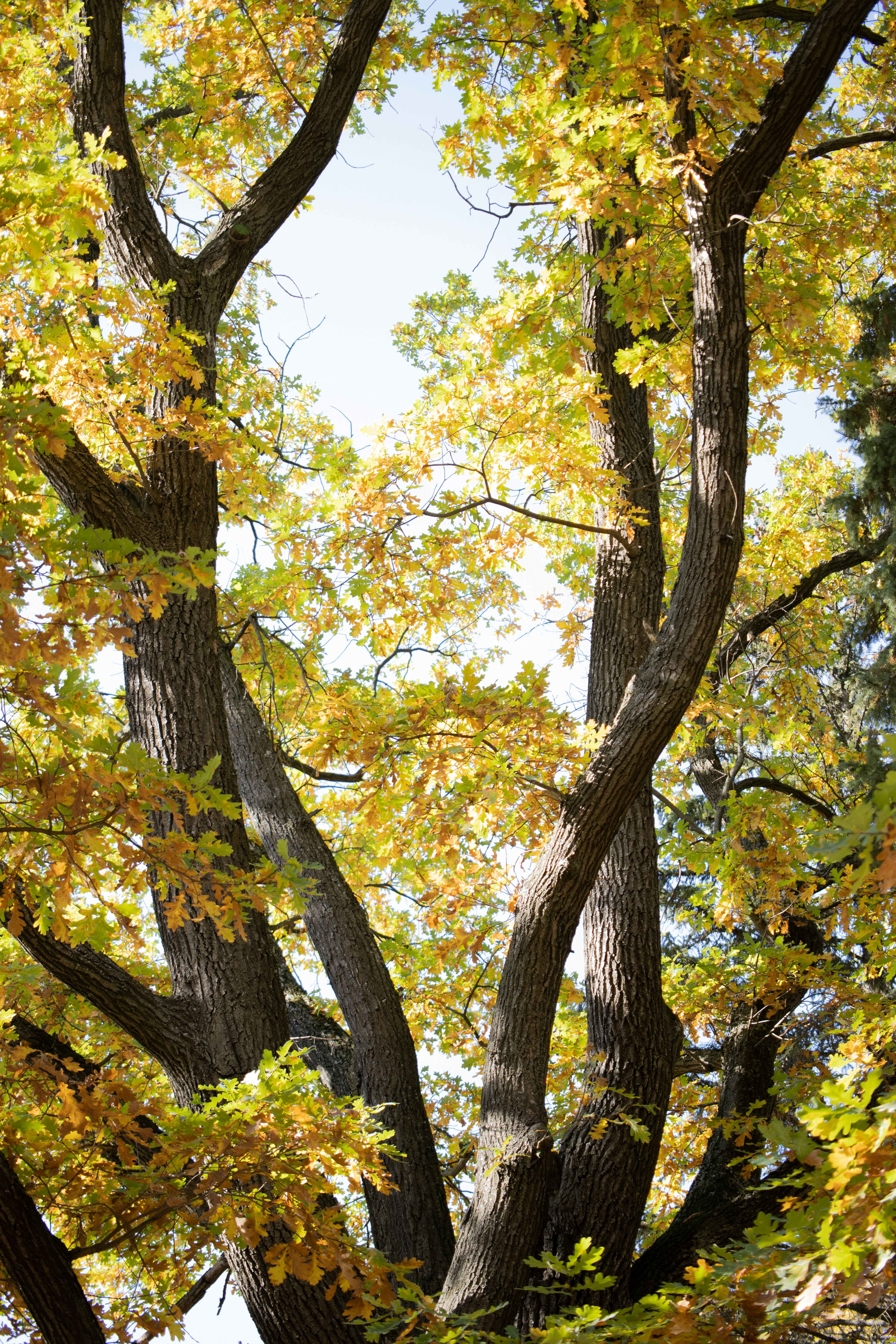 Photo by bkaraivanov