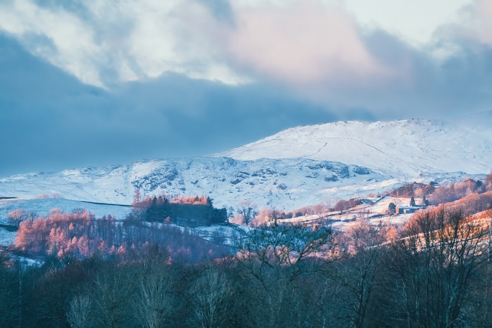 a snow covered mountain with trees in the foreground