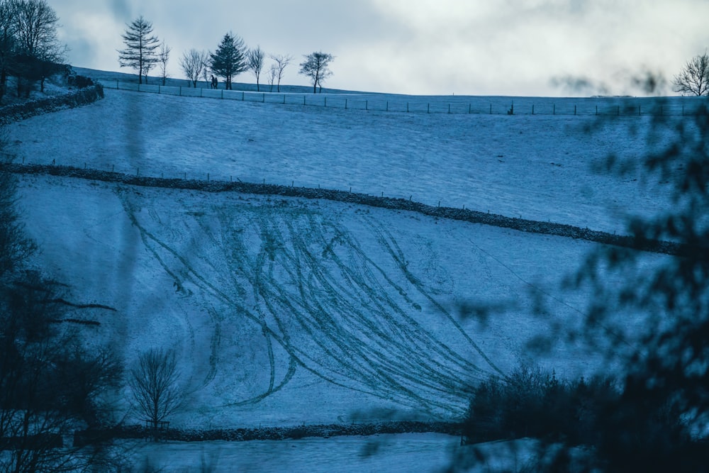 a snow covered hill with trees and a fence