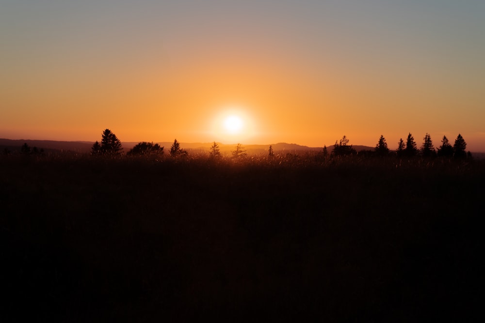 the sun is setting over a field with trees