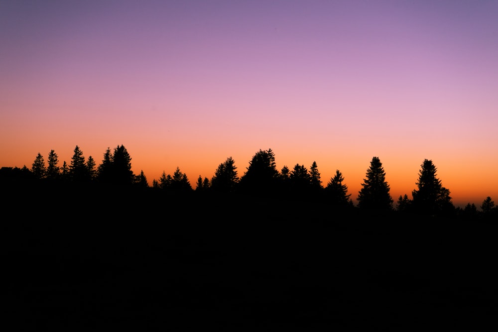 a group of trees silhouetted against a purple sky