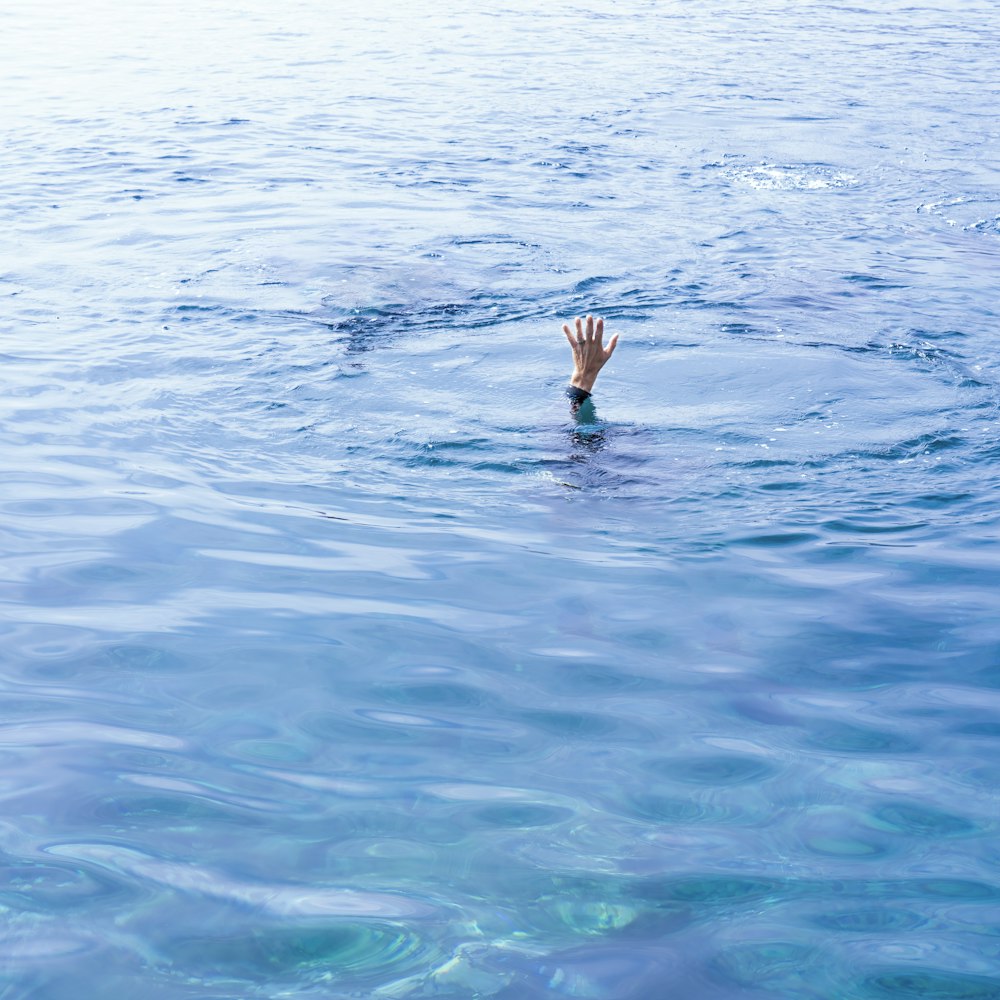 eine Person, die in einem Gewässer schwimmt